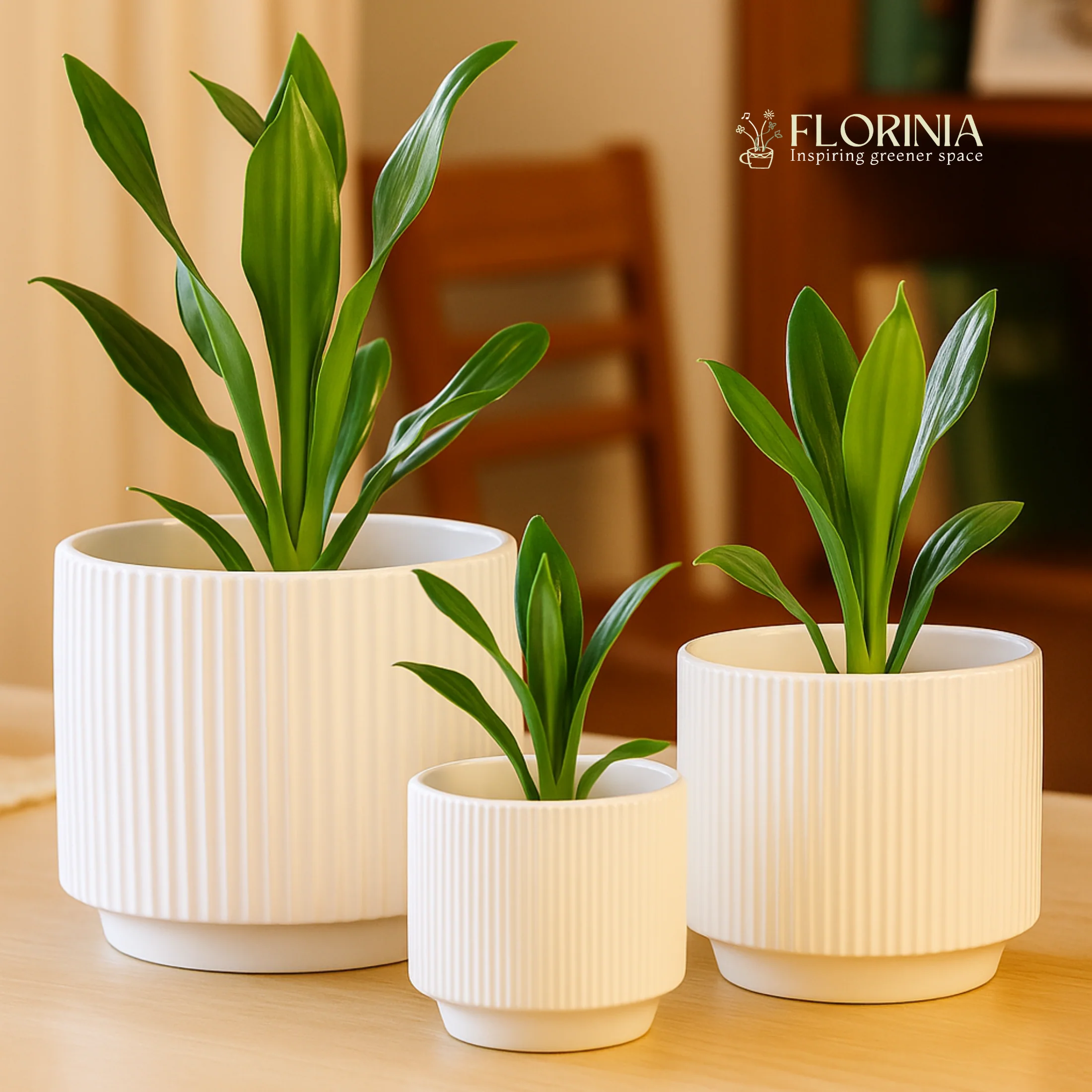 3-Piece White Stoneware Planter Pot Set with Ribbed Texture - Image 2