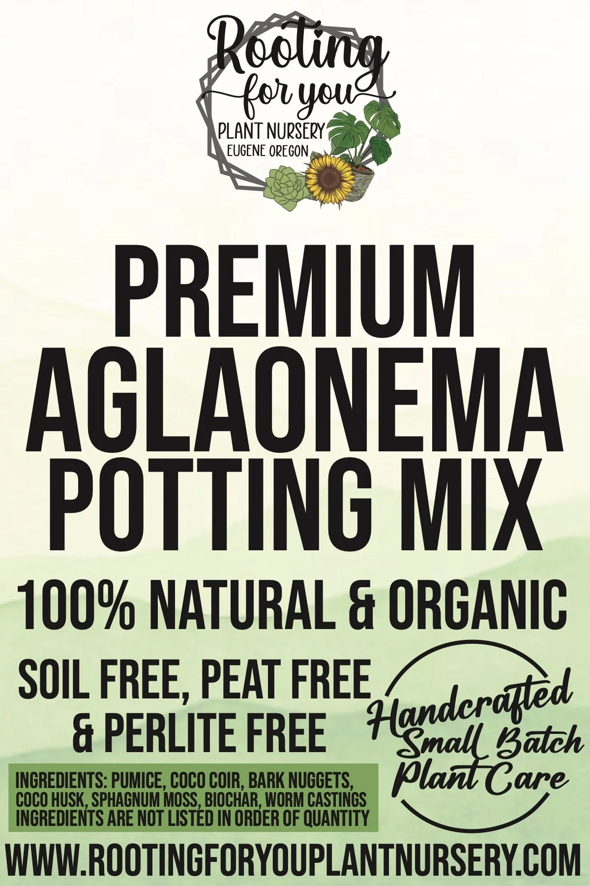 Aglaonema Premium Potting Mix - Image 2