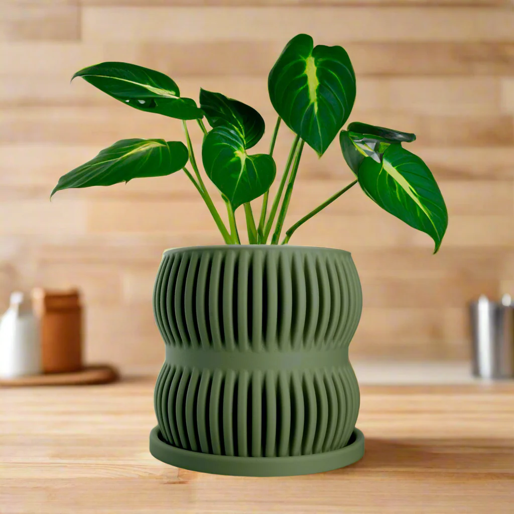 Aureus Planter with Drainage - Image 14