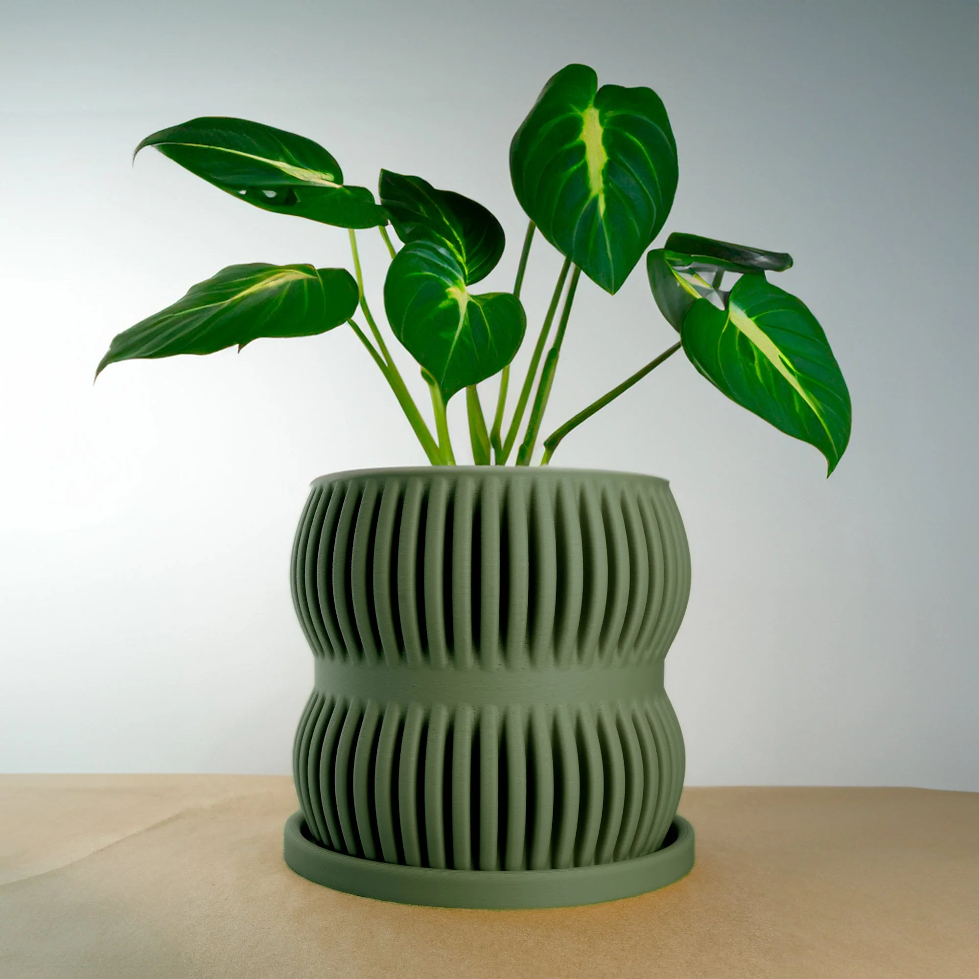 Aureus Planter with Drainage - Image 9