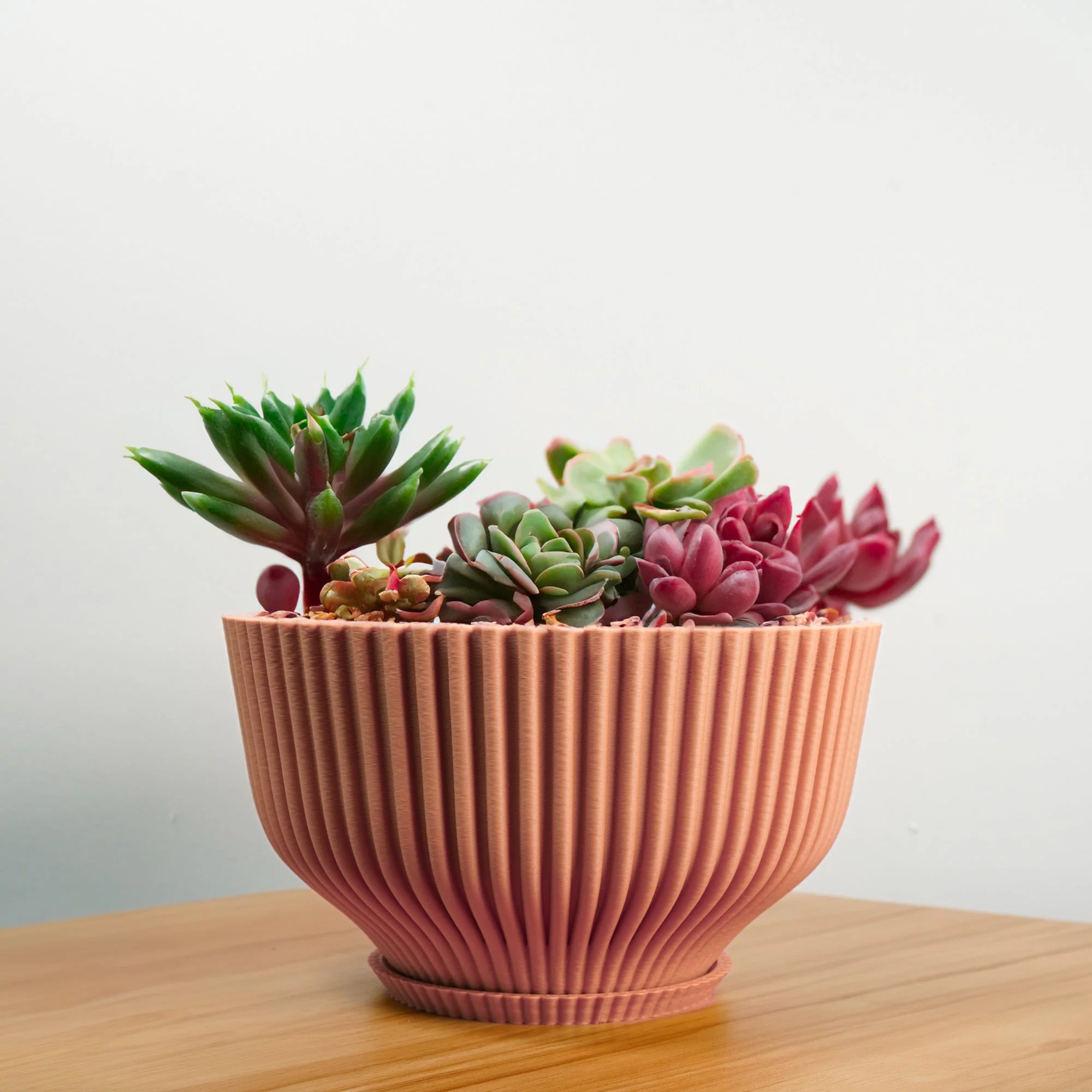 Bonsai Pot with Drainage & Tray - Image 14