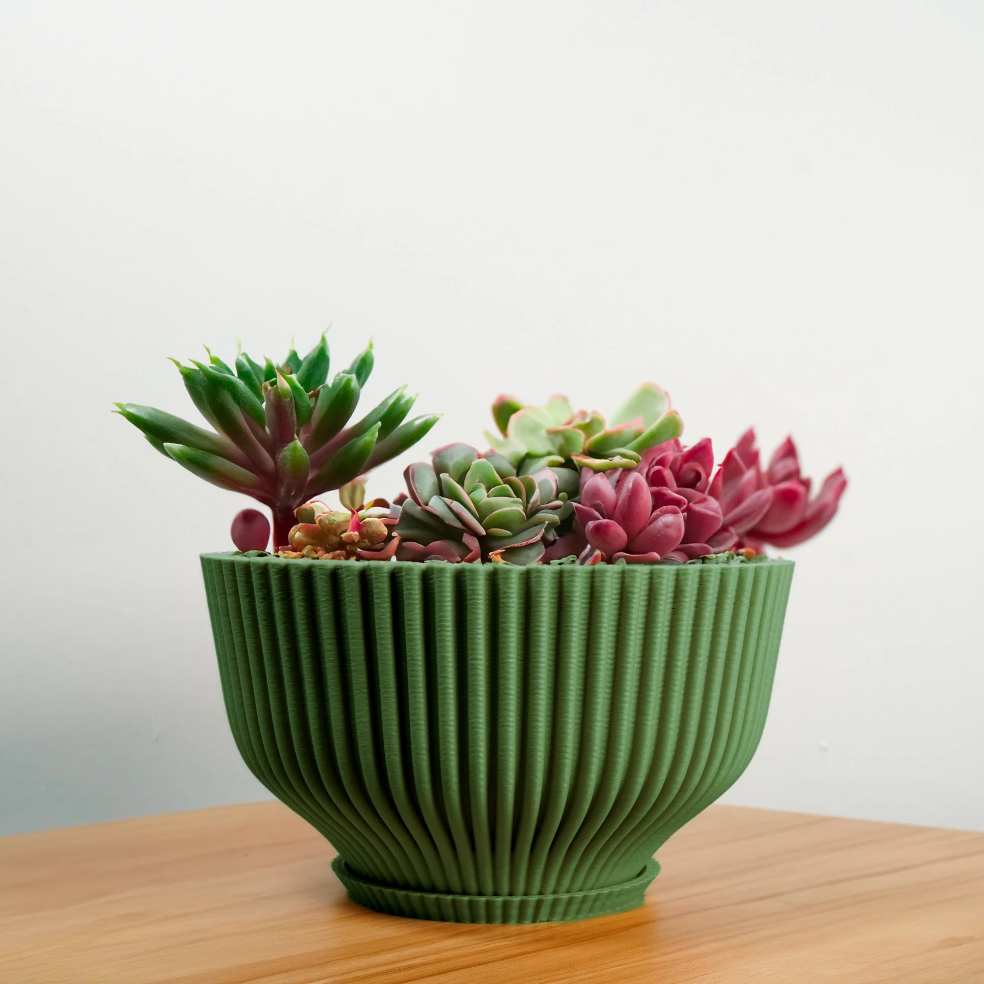 Bonsai Pot with Drainage & Tray - Image 16