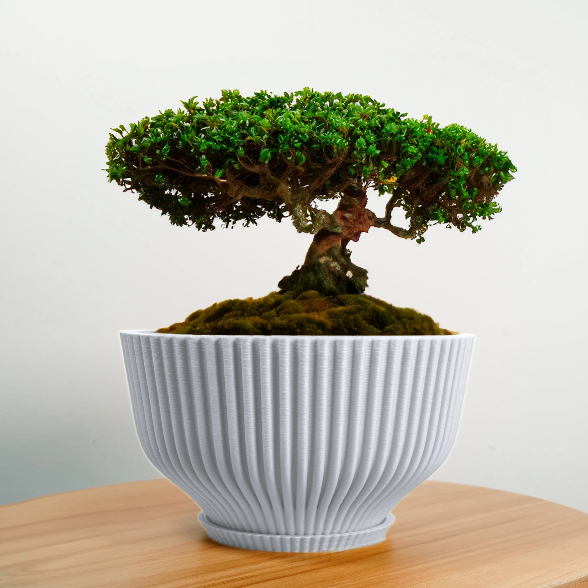 Bonsai Pot with Drainage & Tray - Image 18