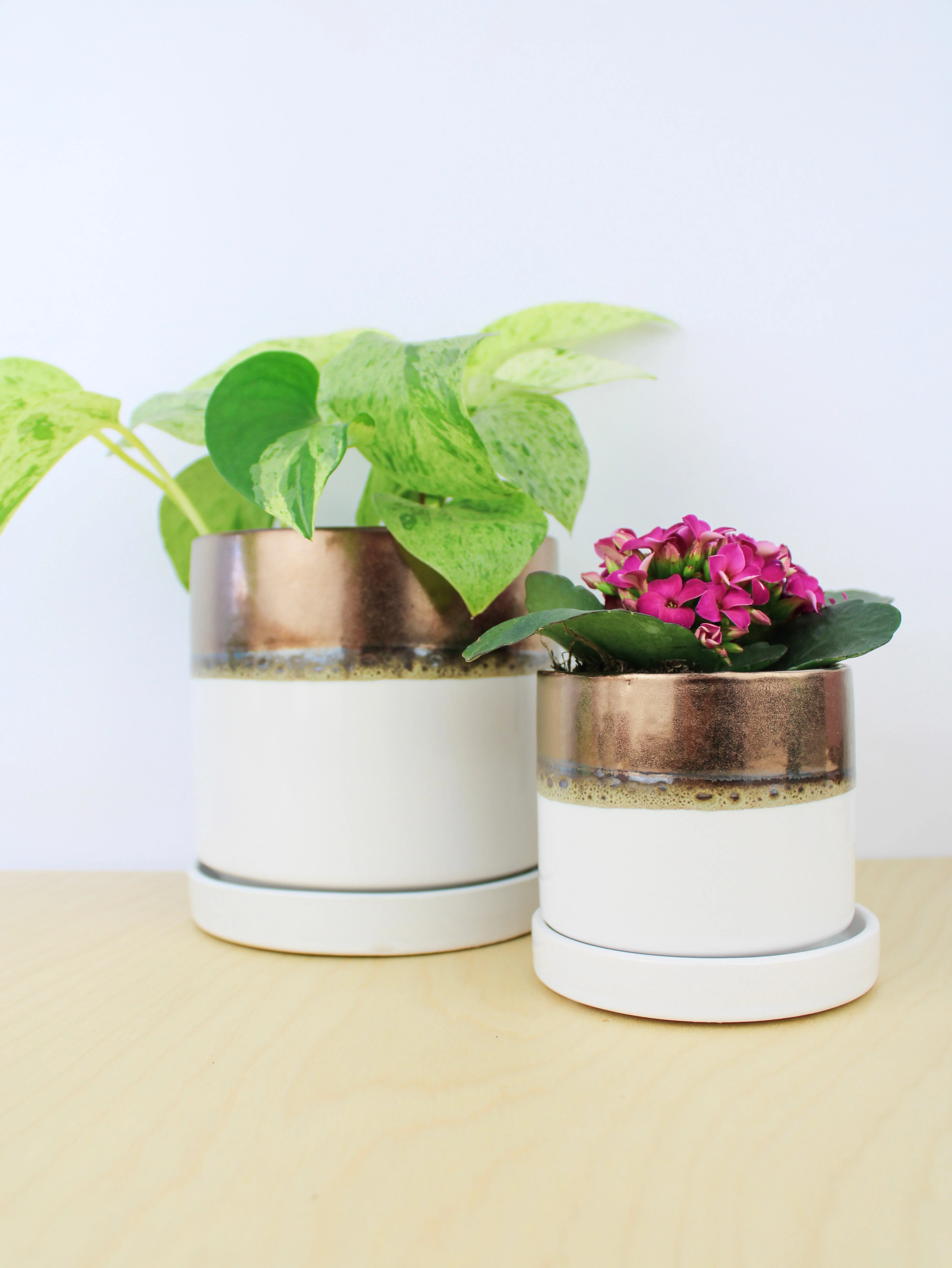 Bronze White Ceramic Plant Pot and Saucer - Image 10