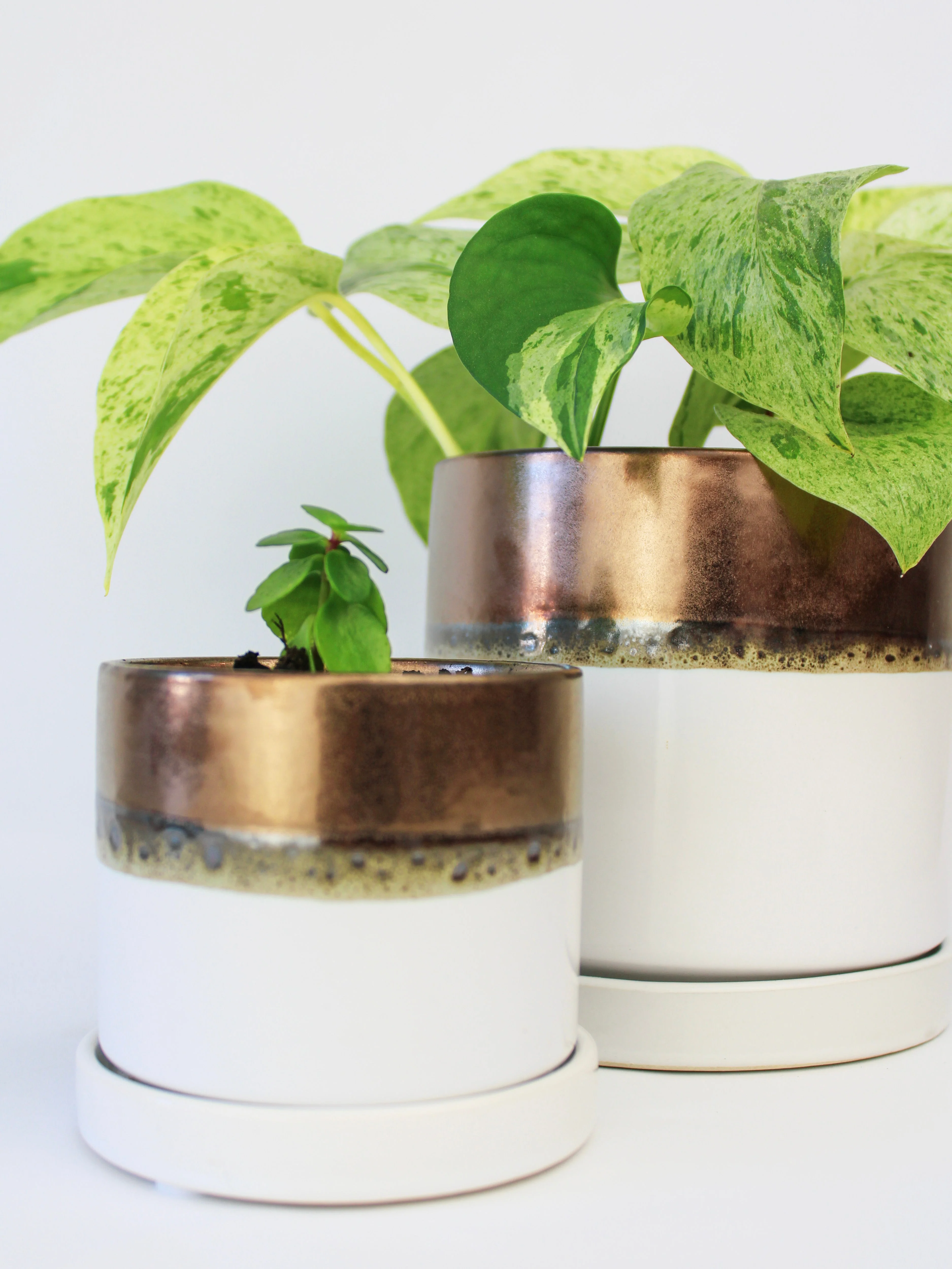 Bronze White Ceramic Plant Pot and Saucer - Image 11