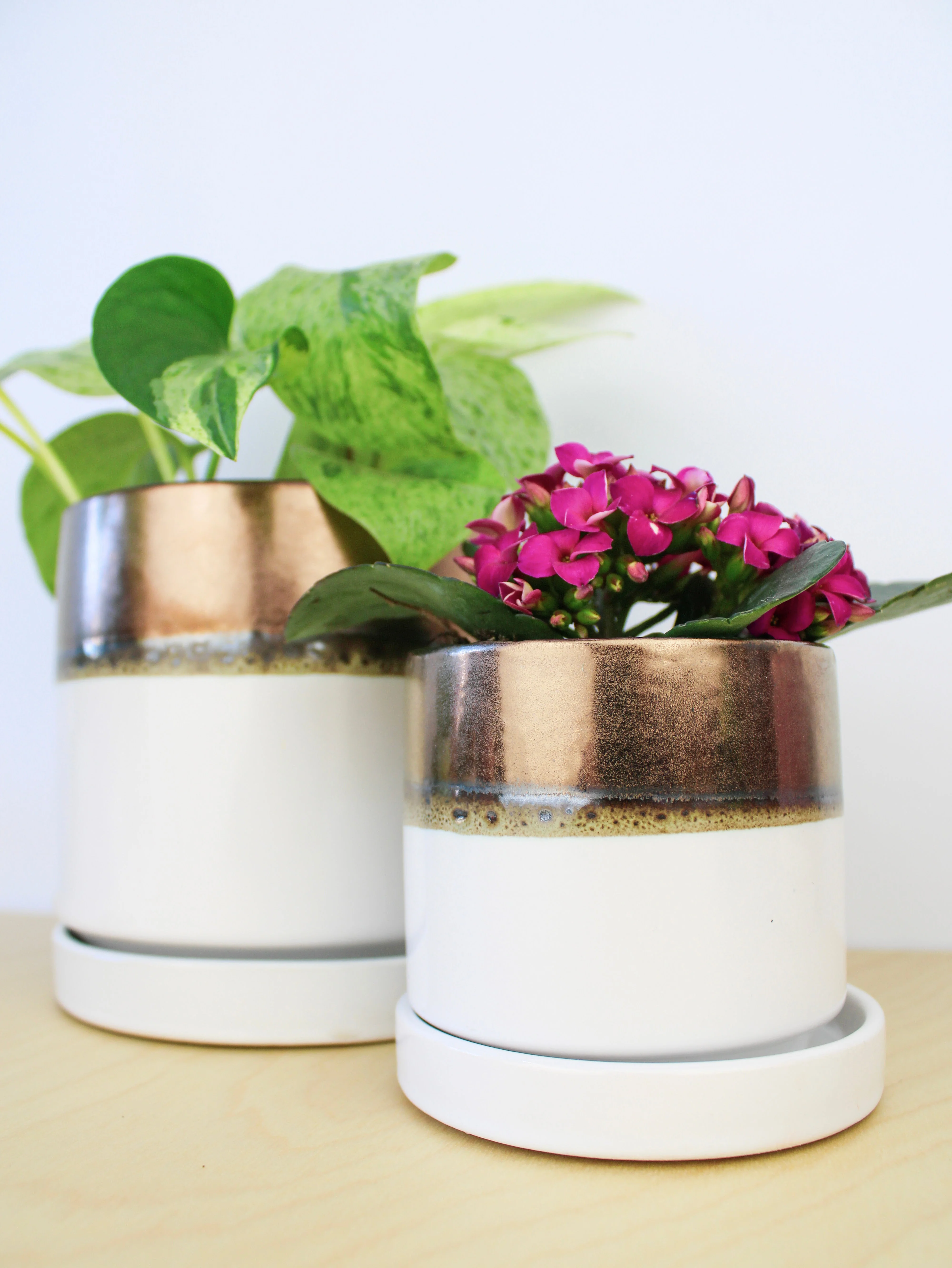 Bronze White Ceramic Plant Pot and Saucer - Image 3