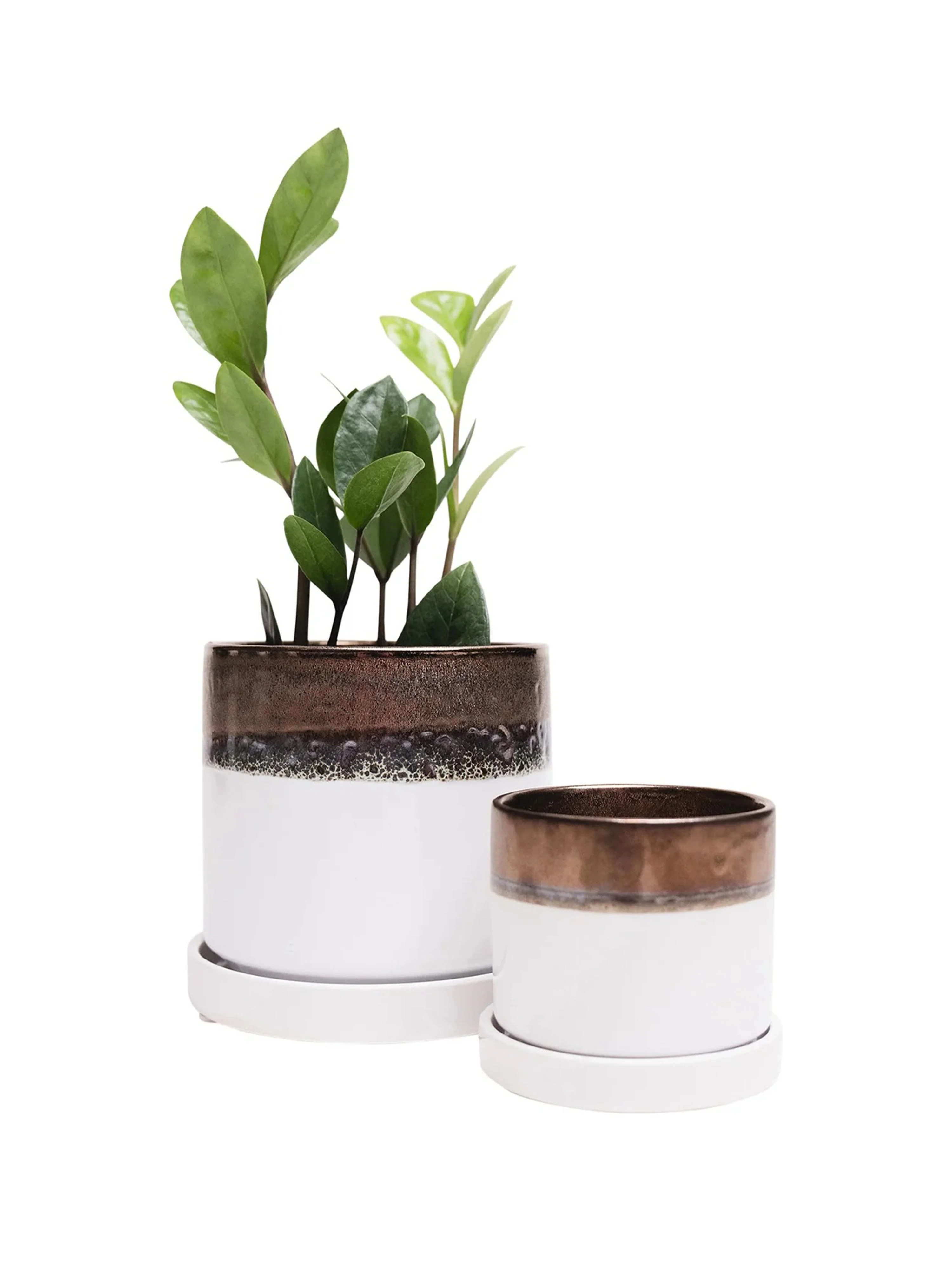 Bronze White Ceramic Plant Pot and Saucer - Image 8