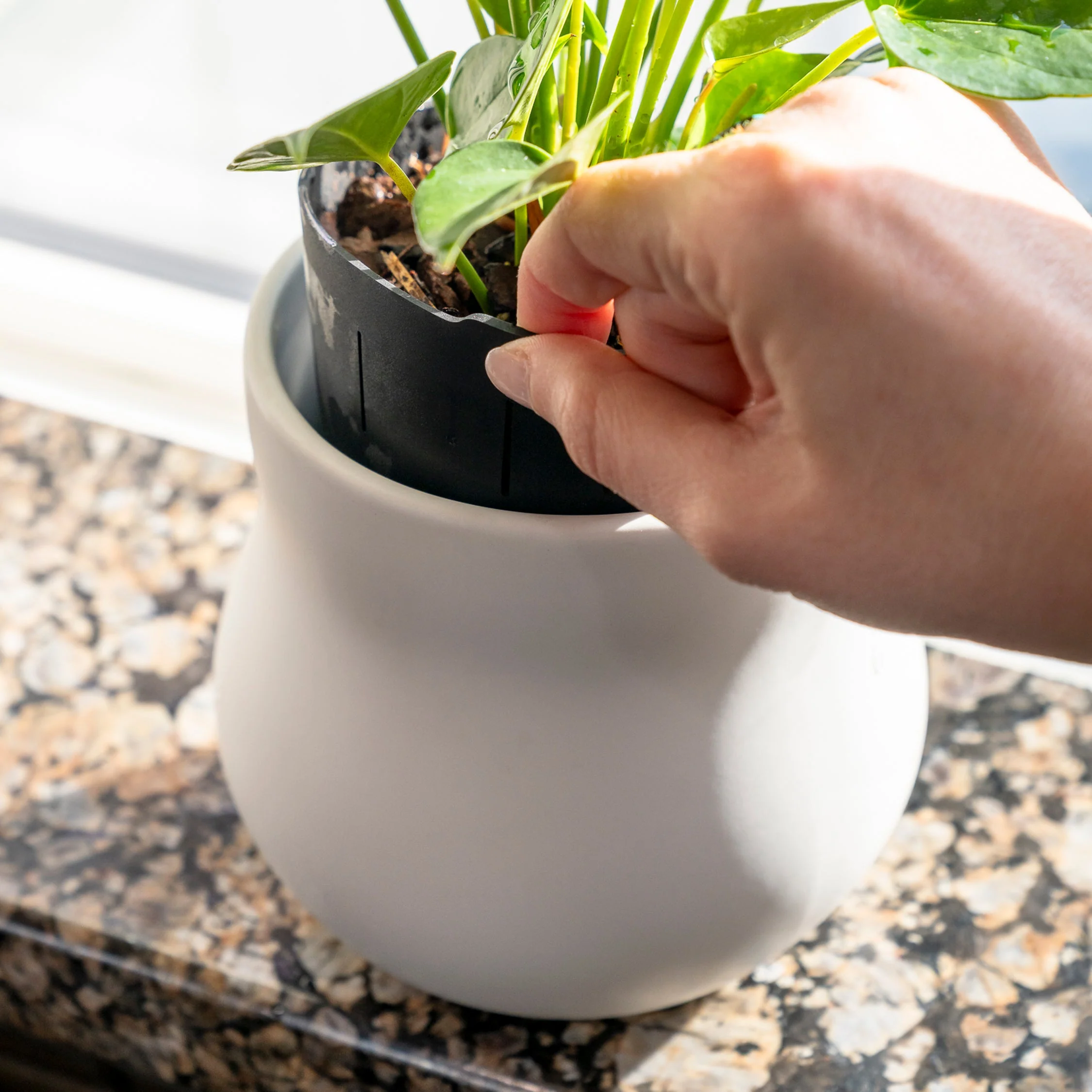 Ceramic Plant Pot with Rubber Liner - Alabaster White - Image 3