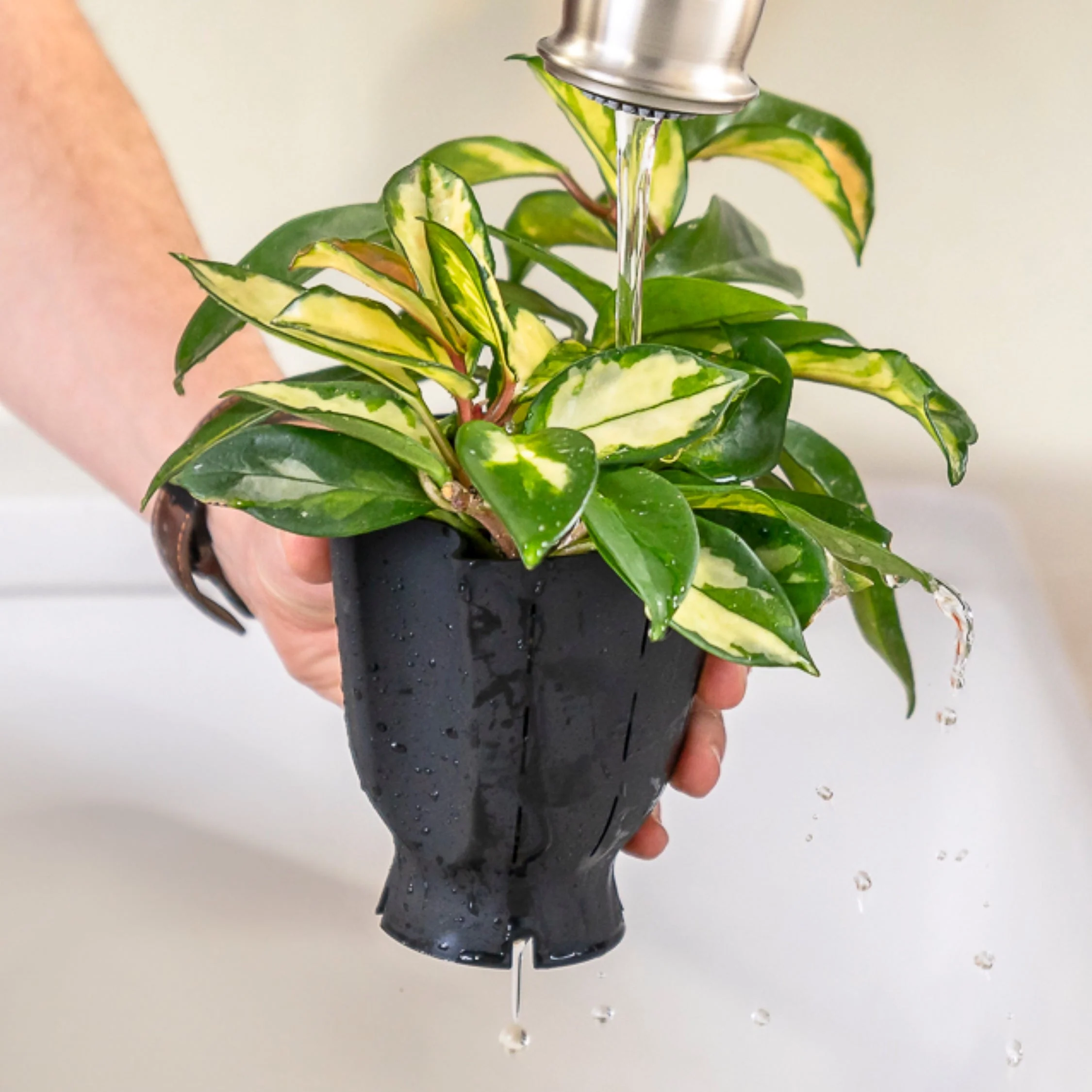 Ceramic Plant Pot with Rubber Liner - Forest Green - Image 3