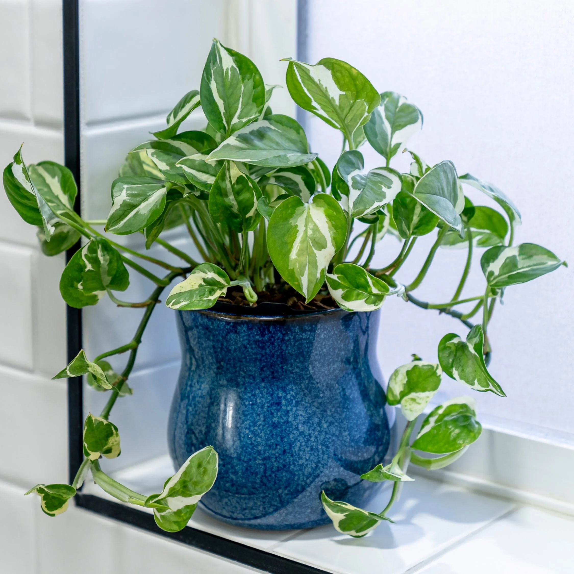 Ceramic Plant Pot with Rubber Liner - River Blue - Image 4
