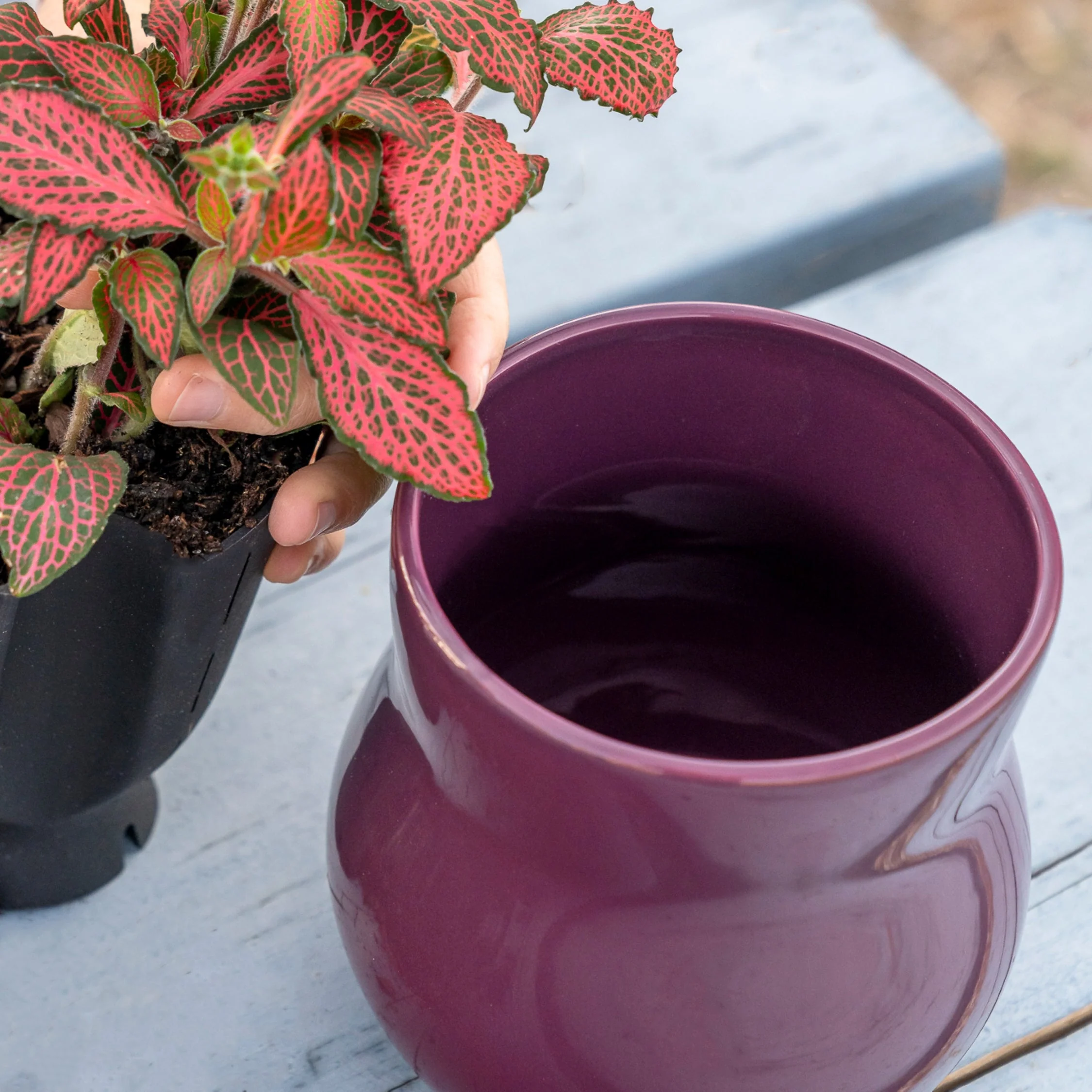 Ceramic Plant Pot with Rubber Liner - Violet Purple - Image 3