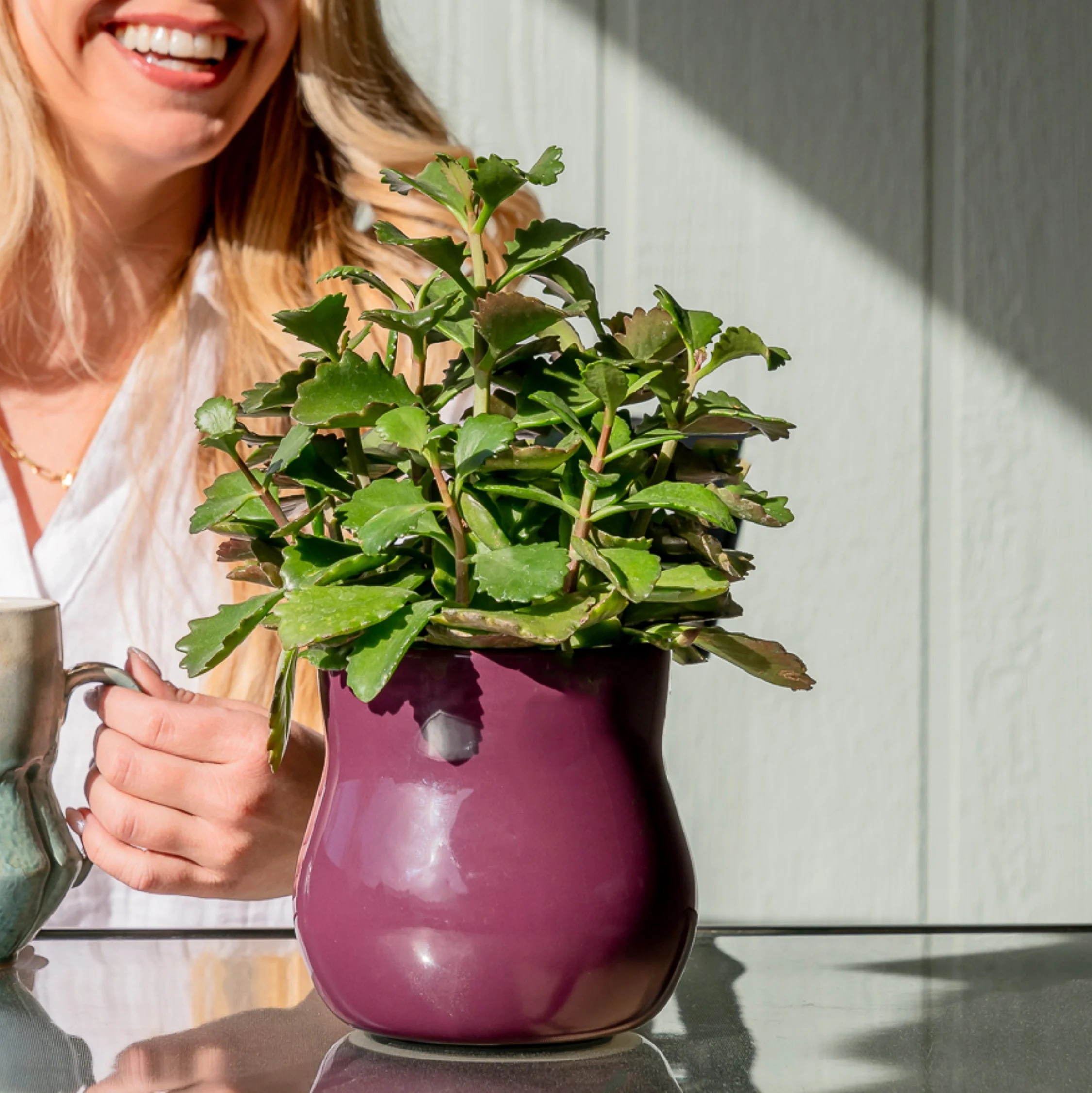 Ceramic Plant Pot with Rubber Liner - Violet Purple - Image 5