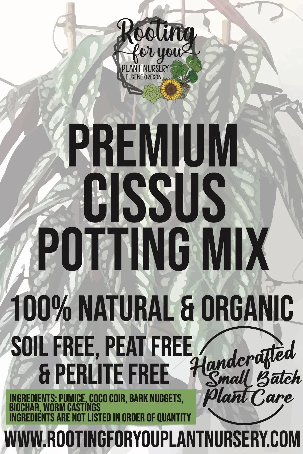 Cissus Premium Potting Mix - Image 2