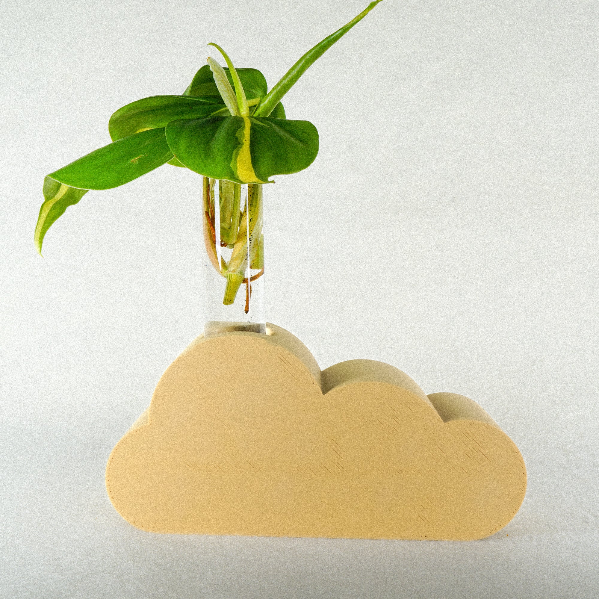 Cloud Propagation - Image 11