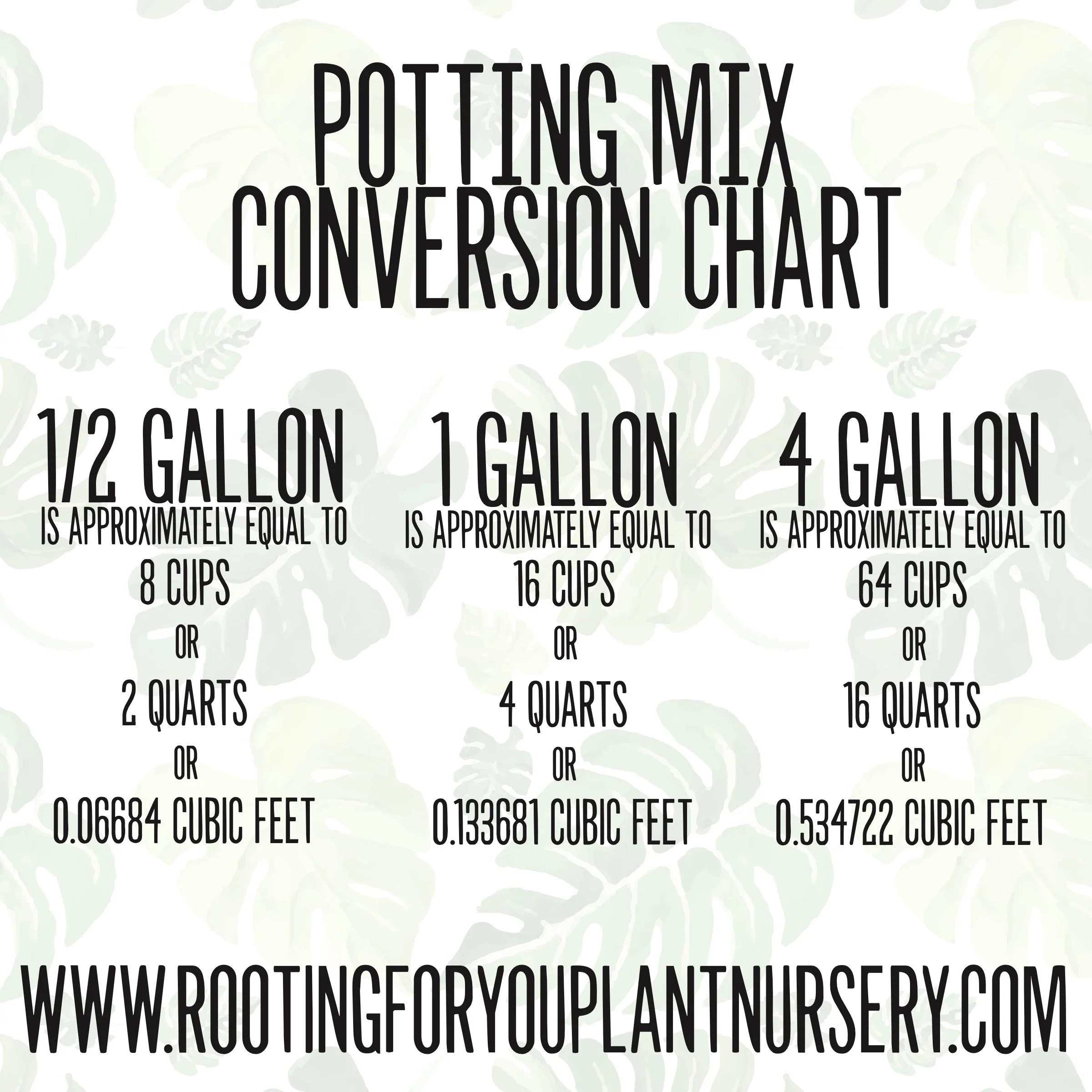 Ficus Premium Potting Mix - Image 5