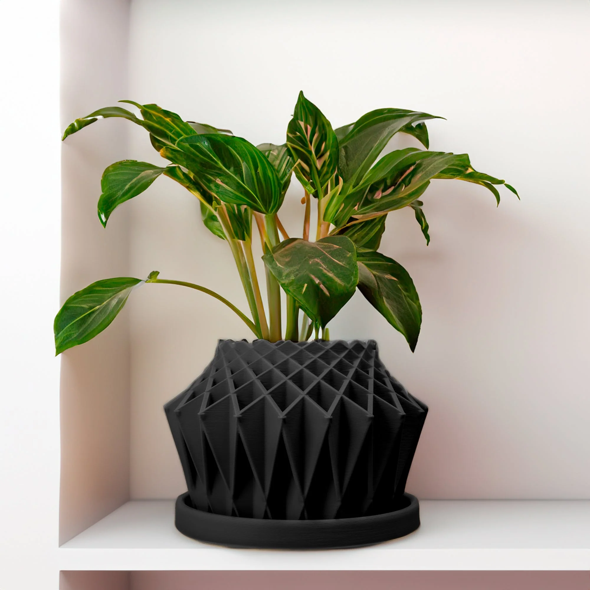 Galaxy Groove Plant Pot - Image 13