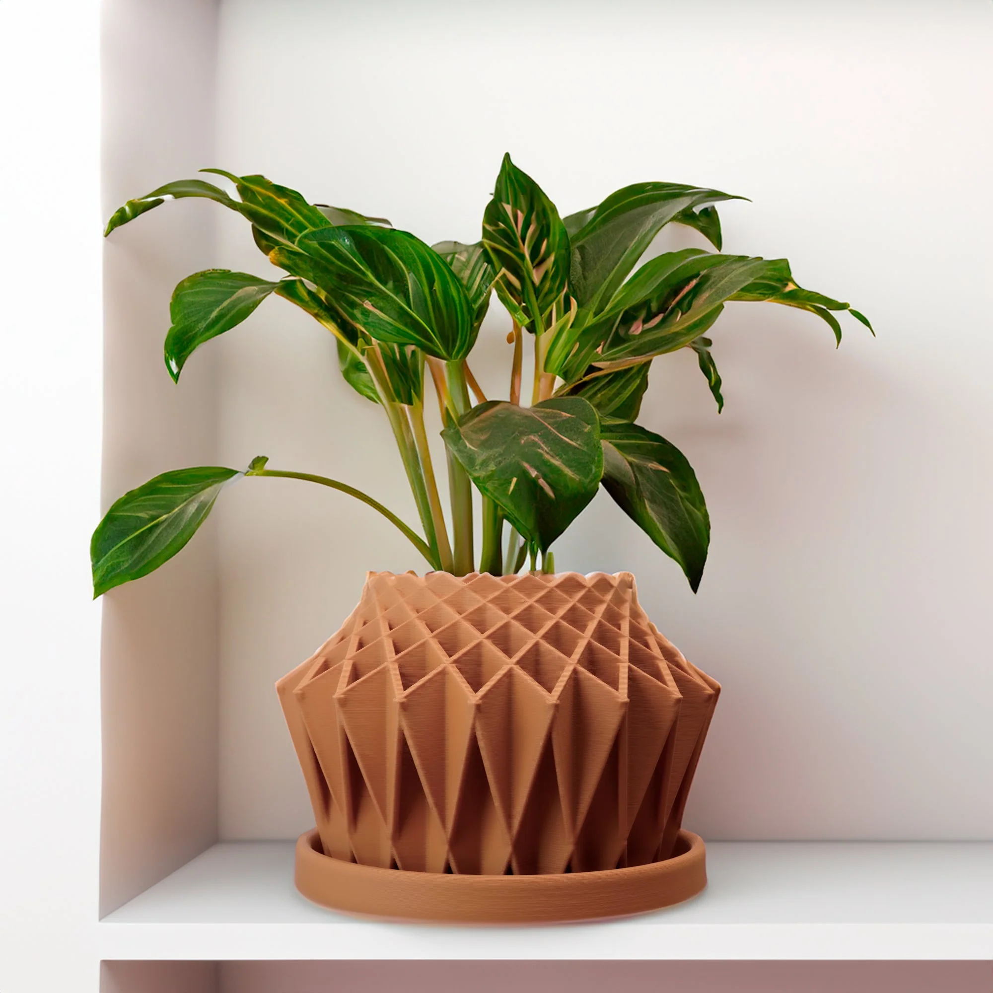 Galaxy Groove Plant Pot - Image 14
