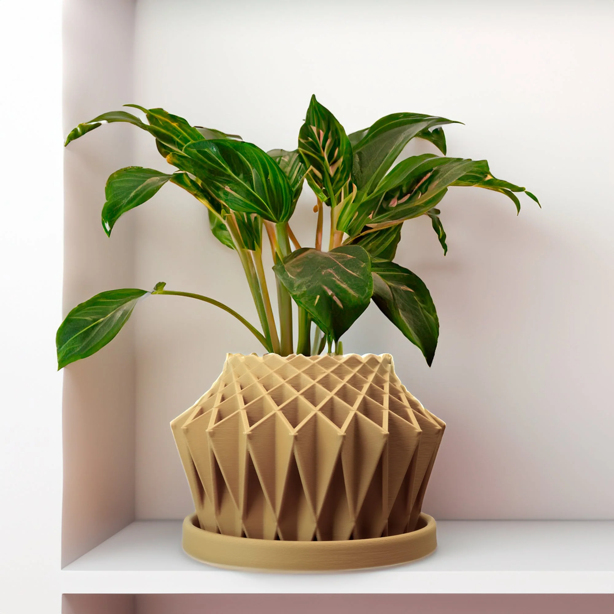 Galaxy Groove Plant Pot - Image 15