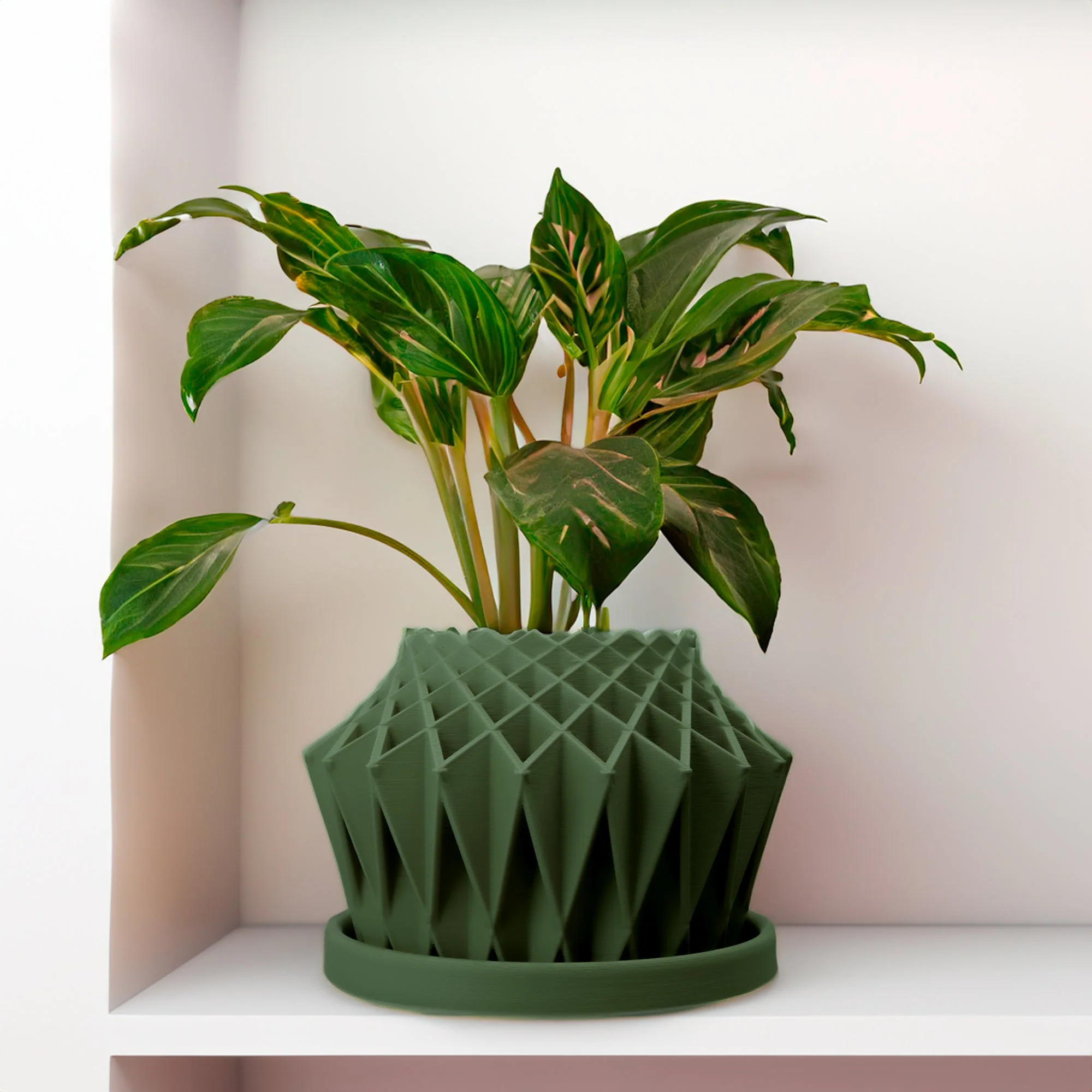 Galaxy Groove Plant Pot - Image 16