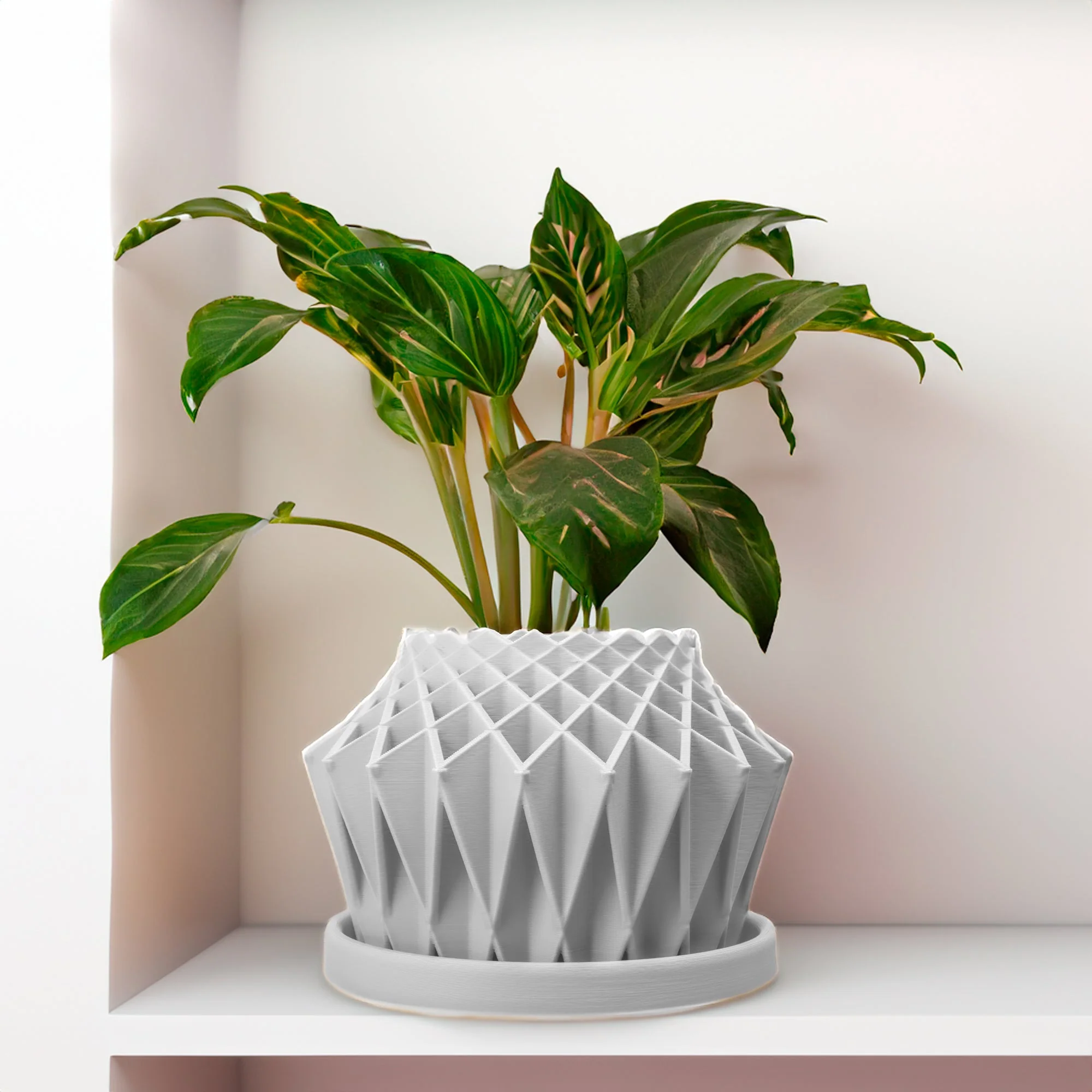 Galaxy Groove Plant Pot - Image 4