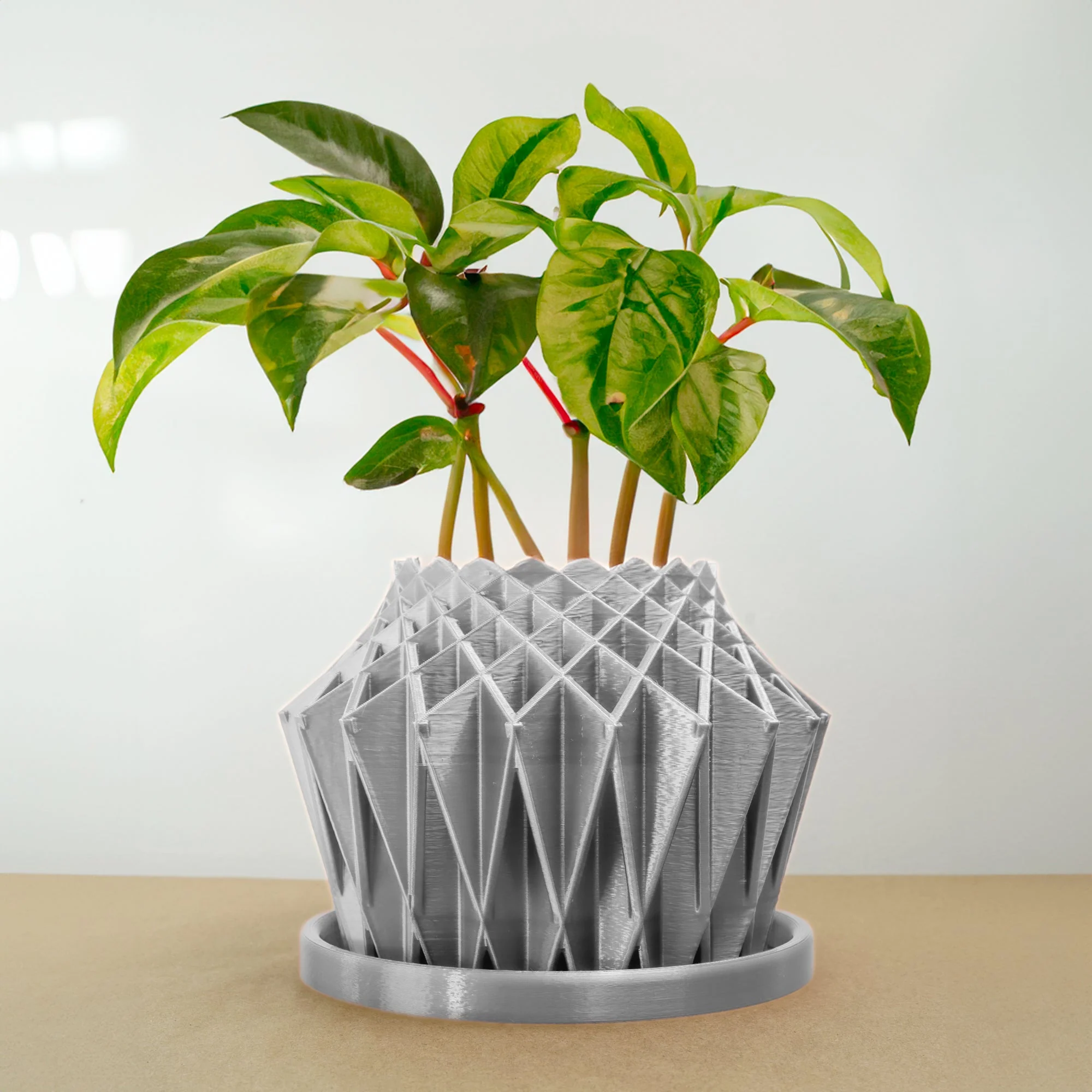 Galaxy Groove Plant Pot - Image 8