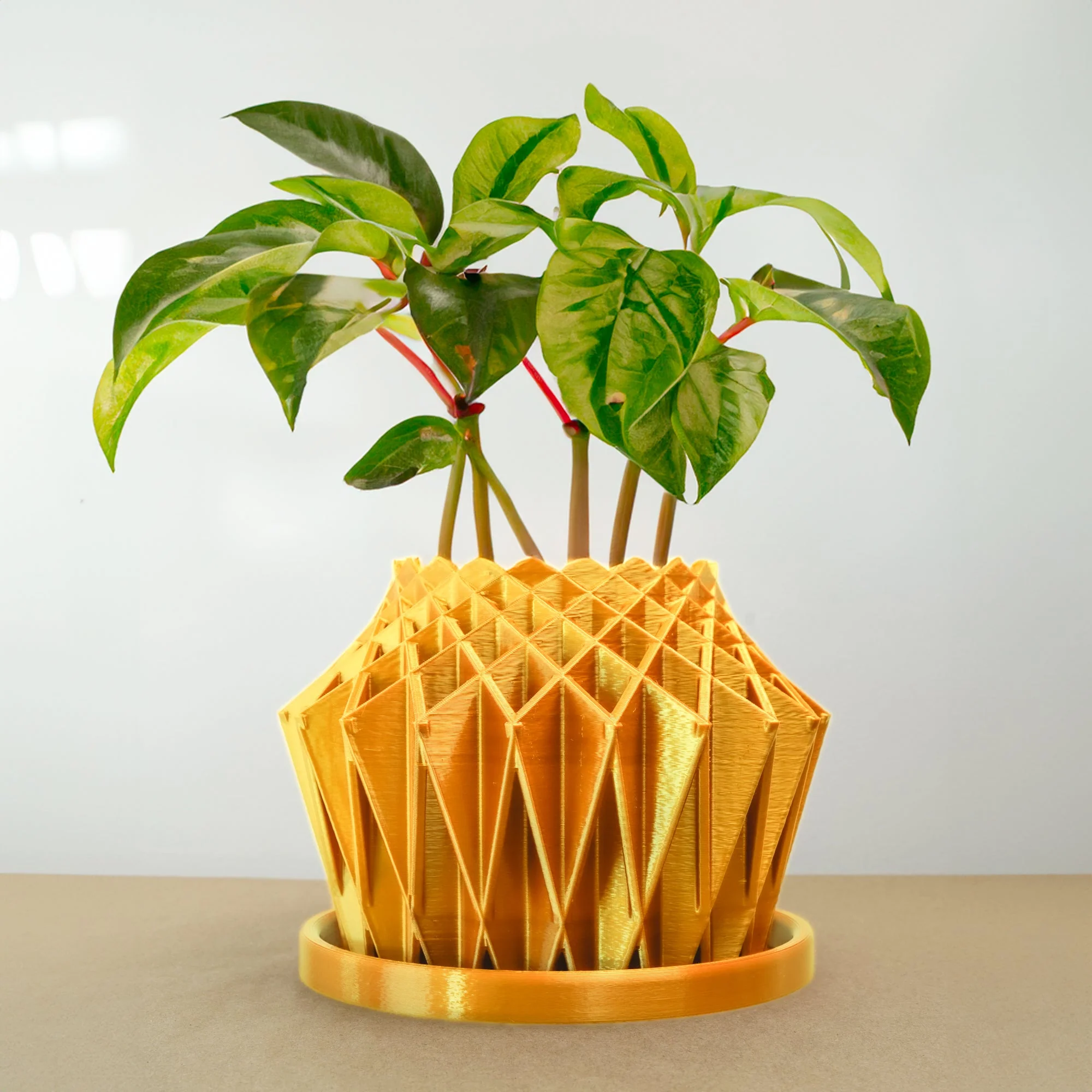 Galaxy Groove Plant Pot - Image 9
