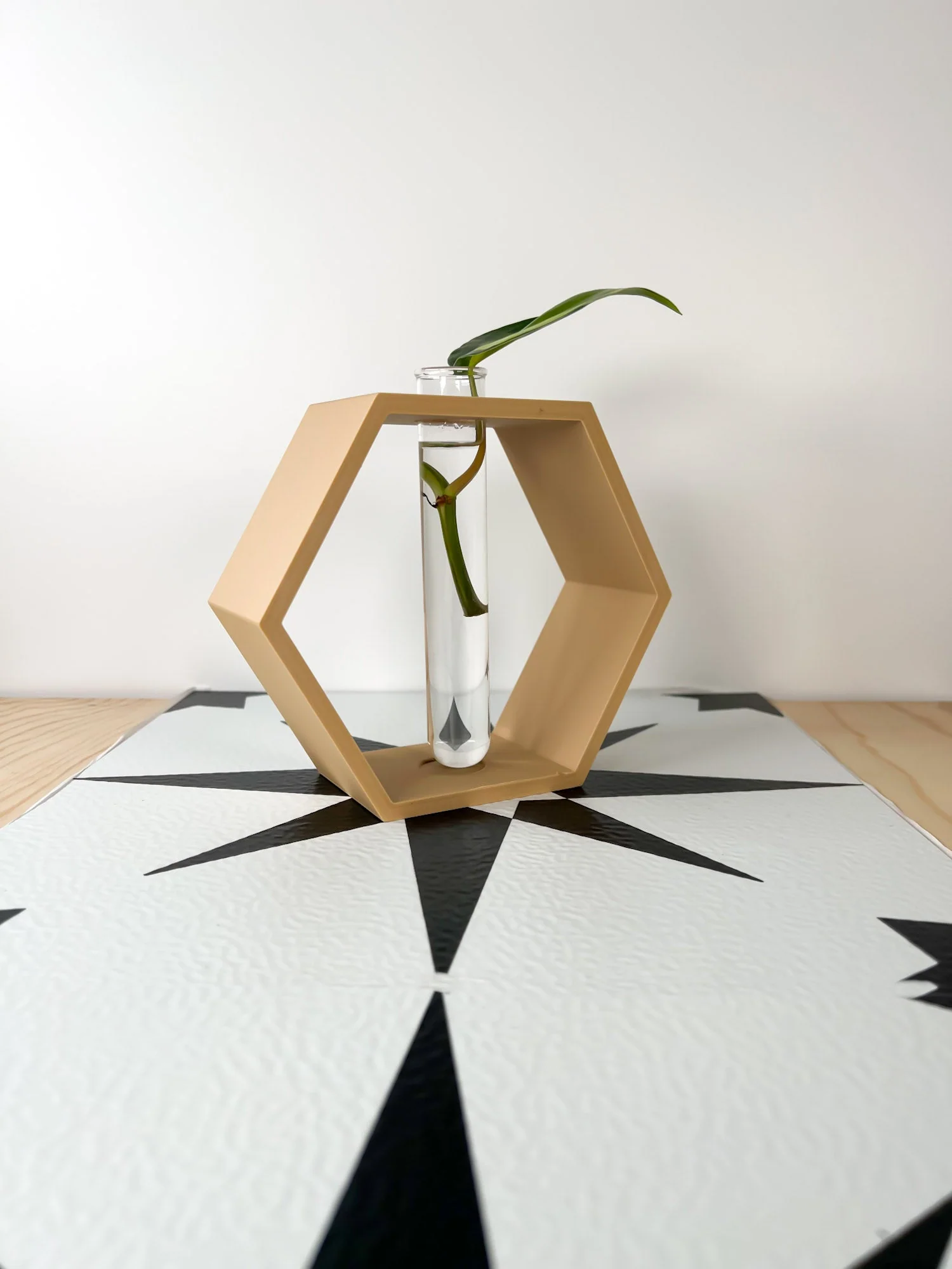 Hexagon Propagation Station - Image 12