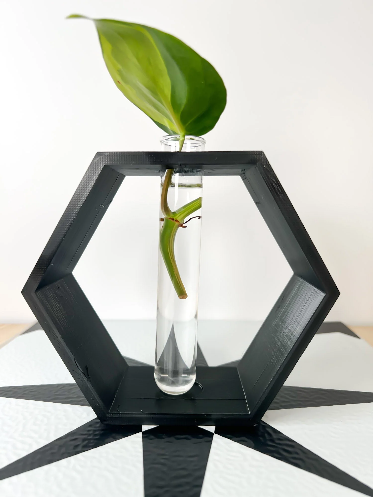 Hexagon Propagation Station - Image 13