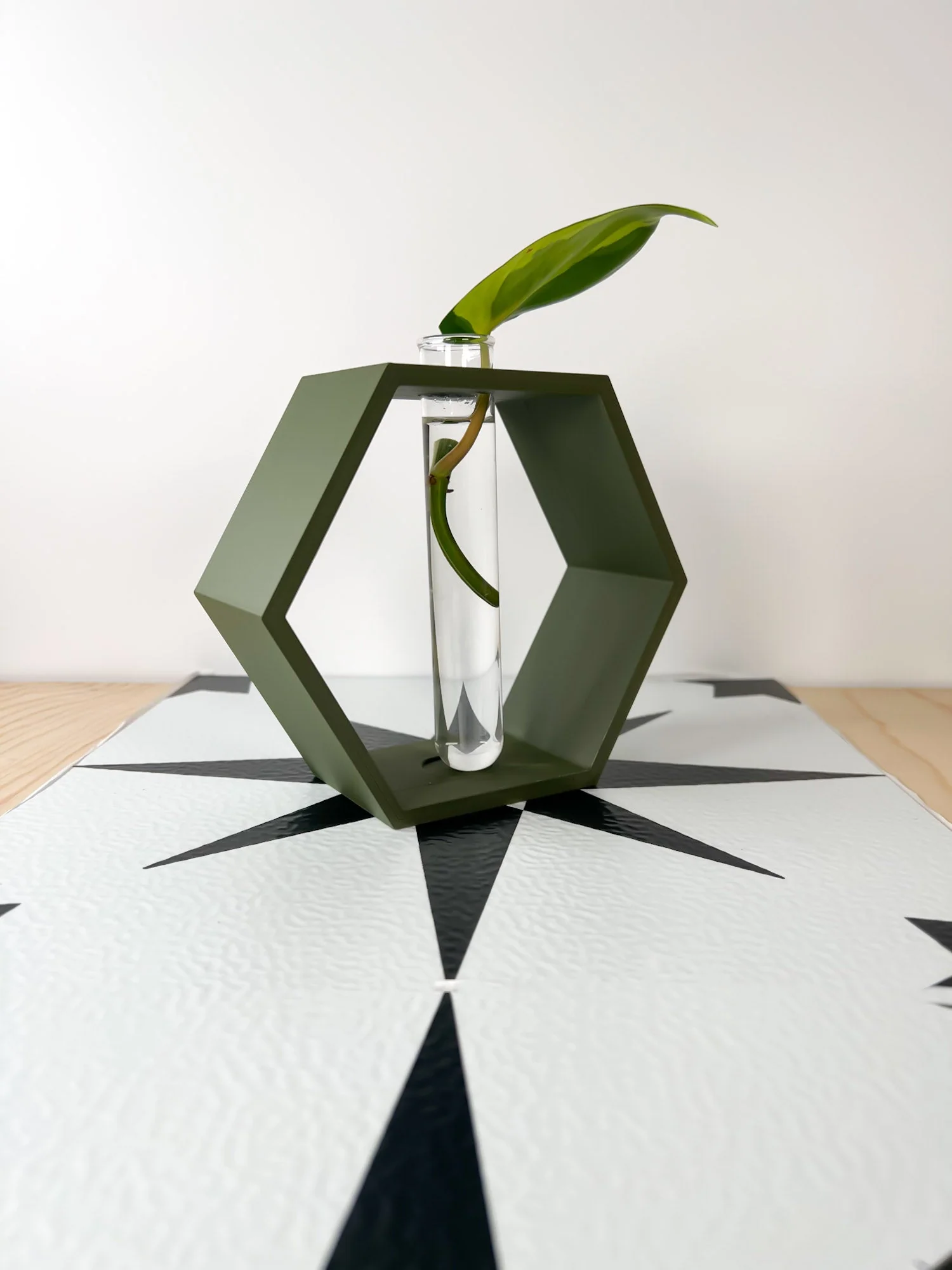 Hexagon Propagation Station - Image 14
