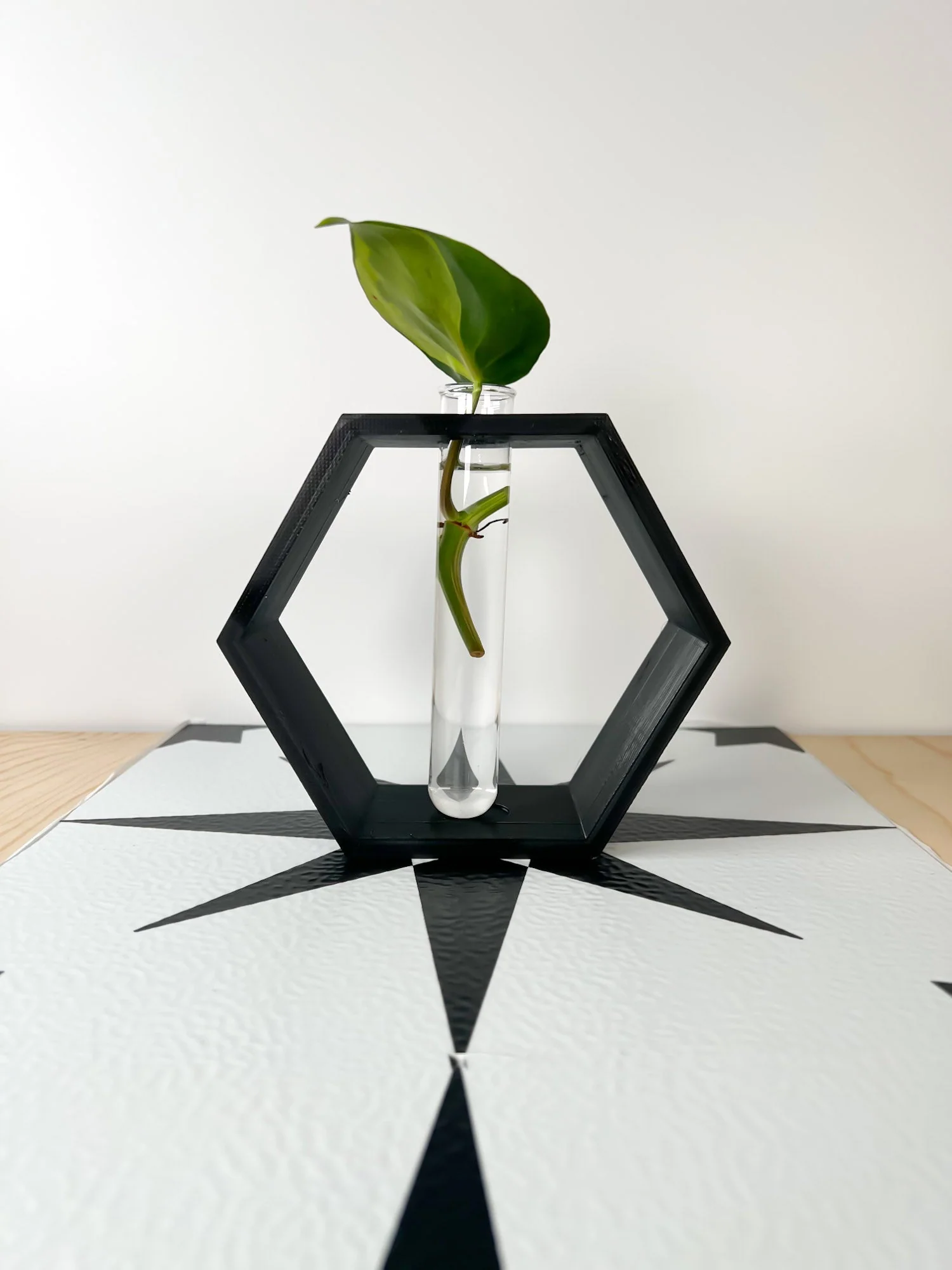 Hexagon Propagation Station - Image 6
