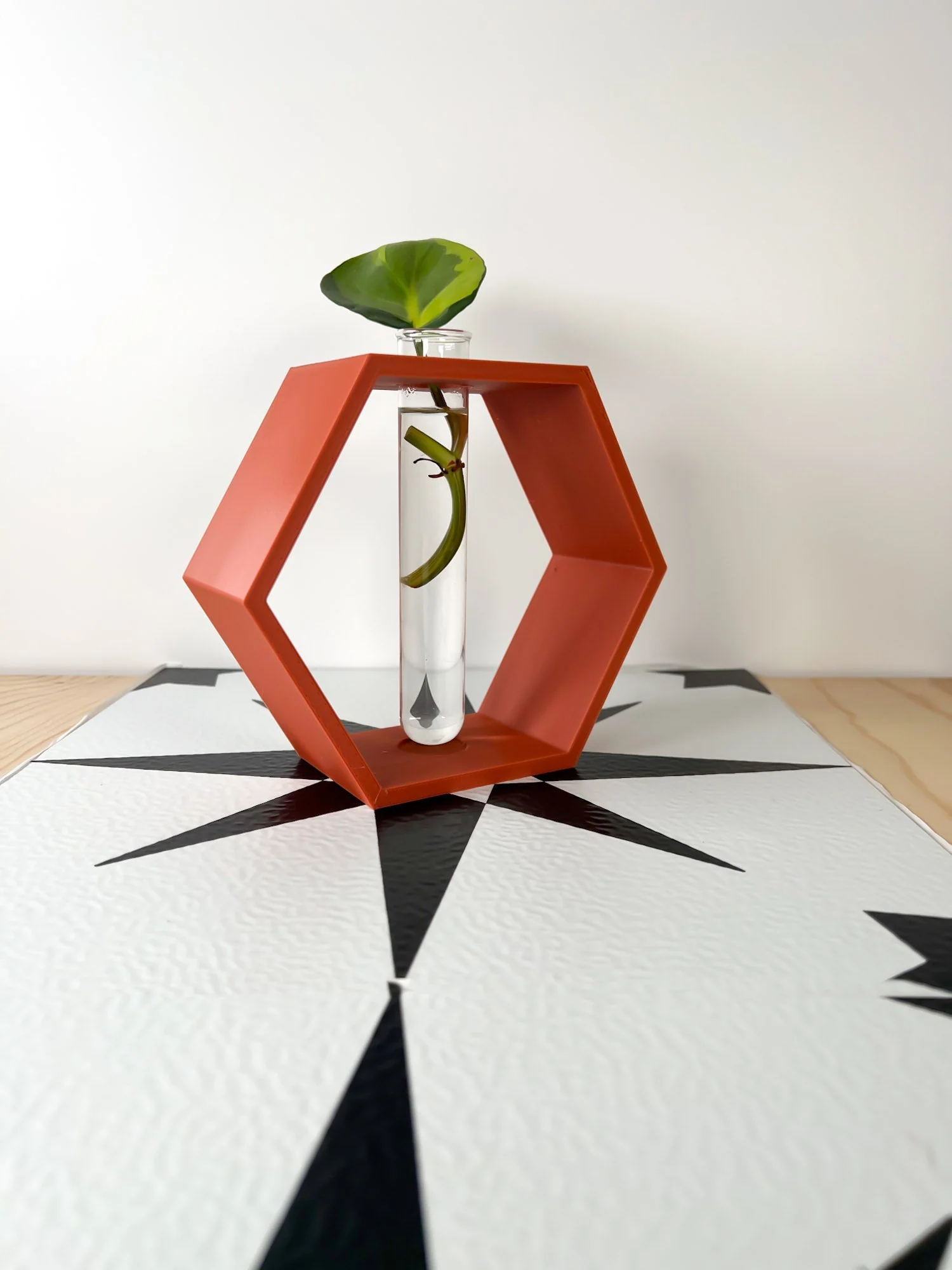 Hexagon Propagation Station - Image 8