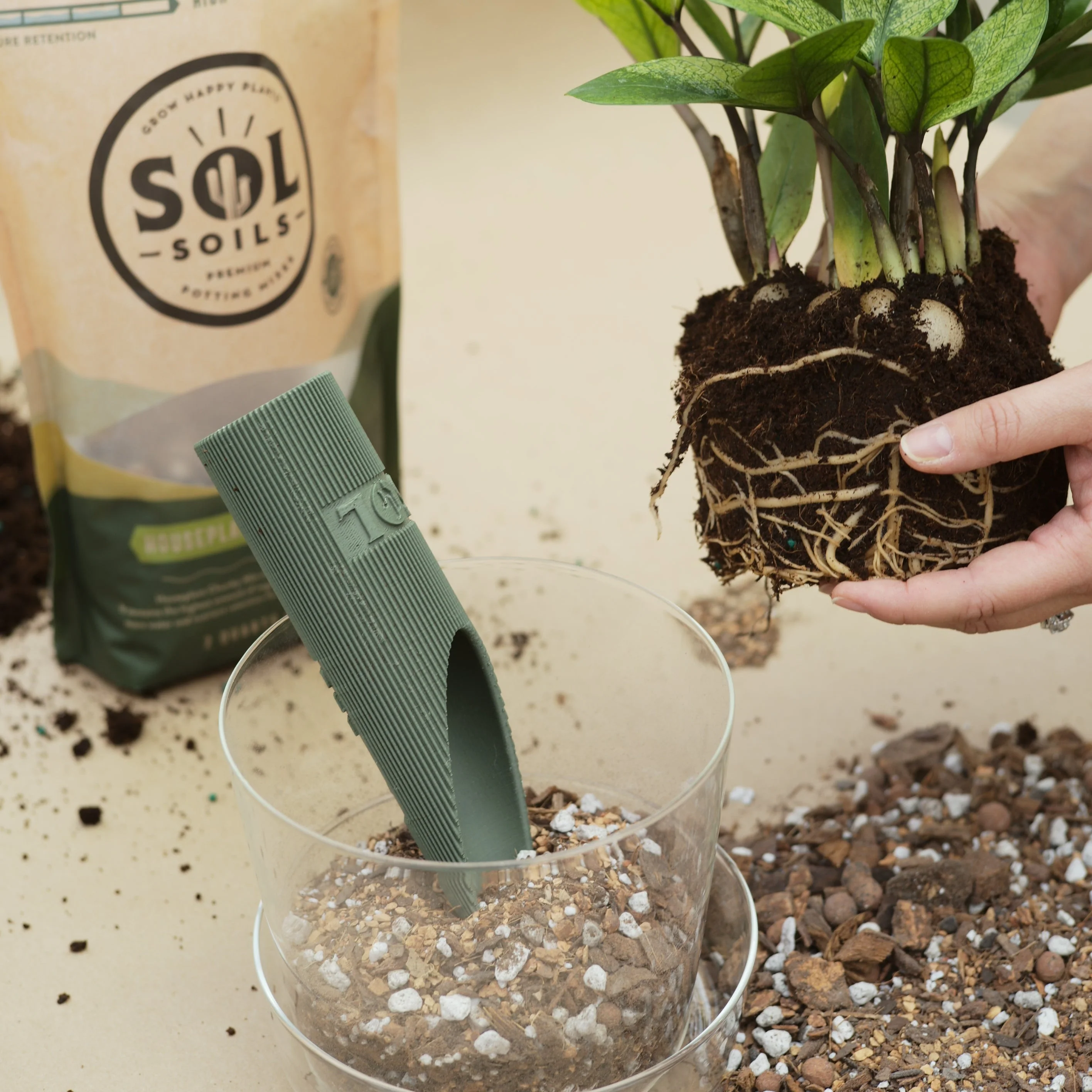 Houseplant Chunky Mix - Image 9