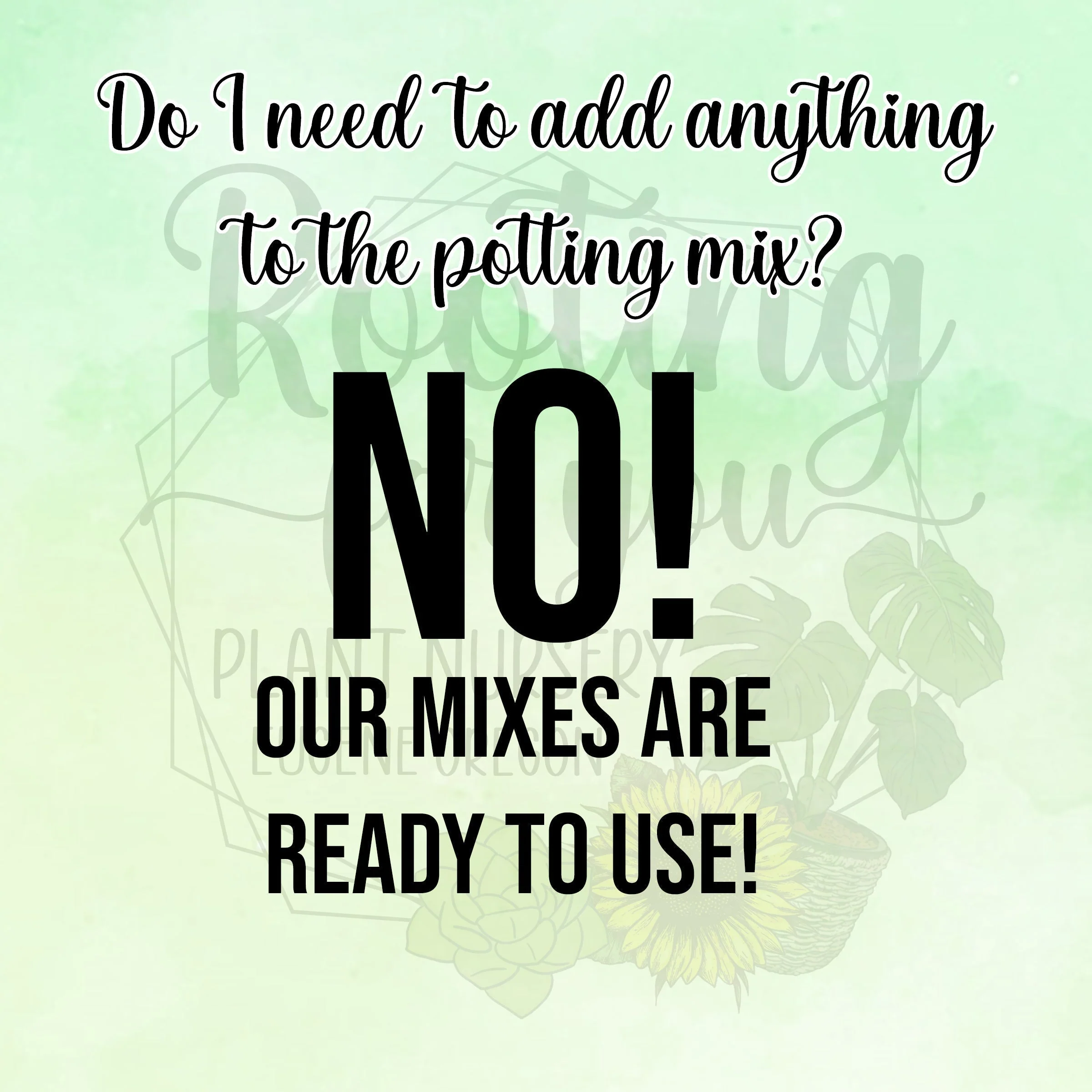 Jasmine Premium Potting Mix - Image 3