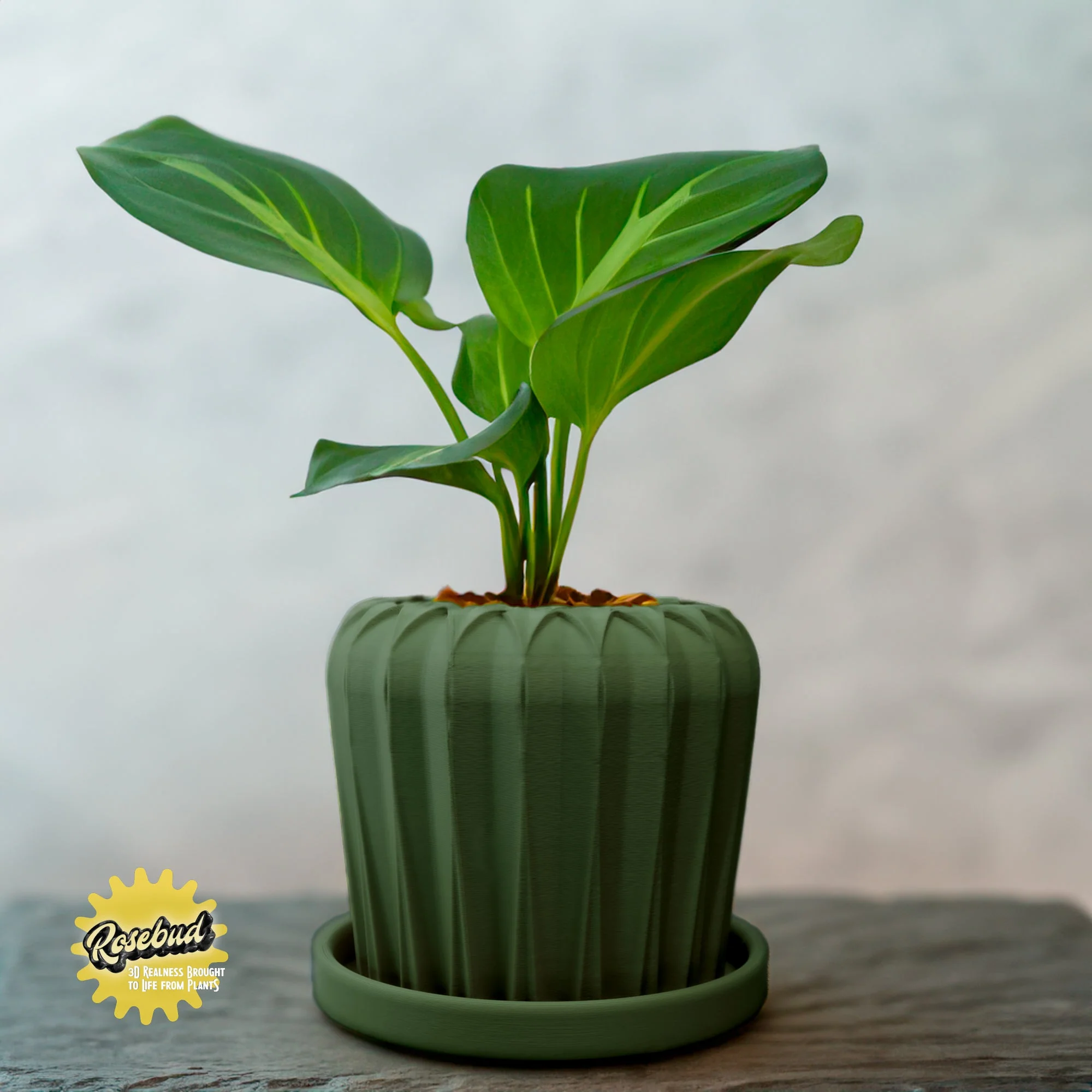 Lunar Bloom Plant Pot - Image 5