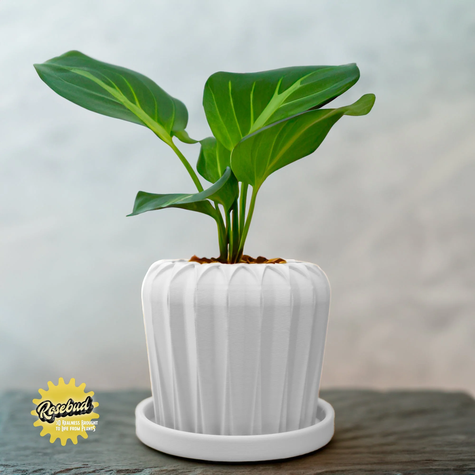 Lunar Bloom Plant Pot - Image 6