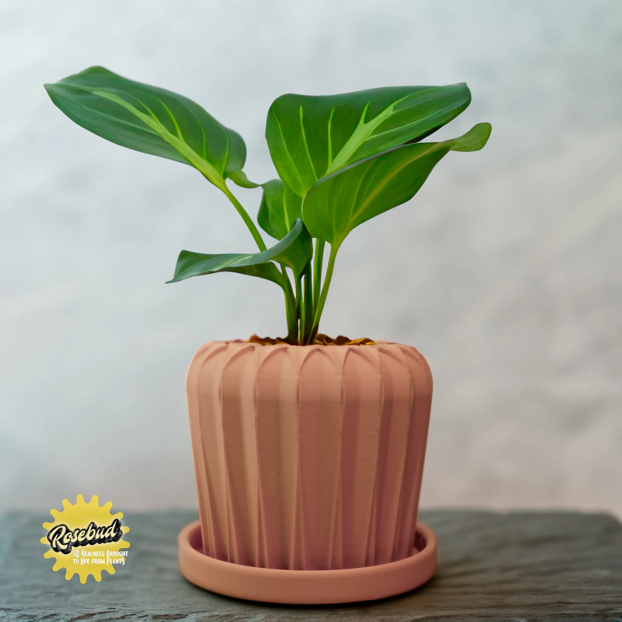 Lunar Bloom Plant Pot - Image 7