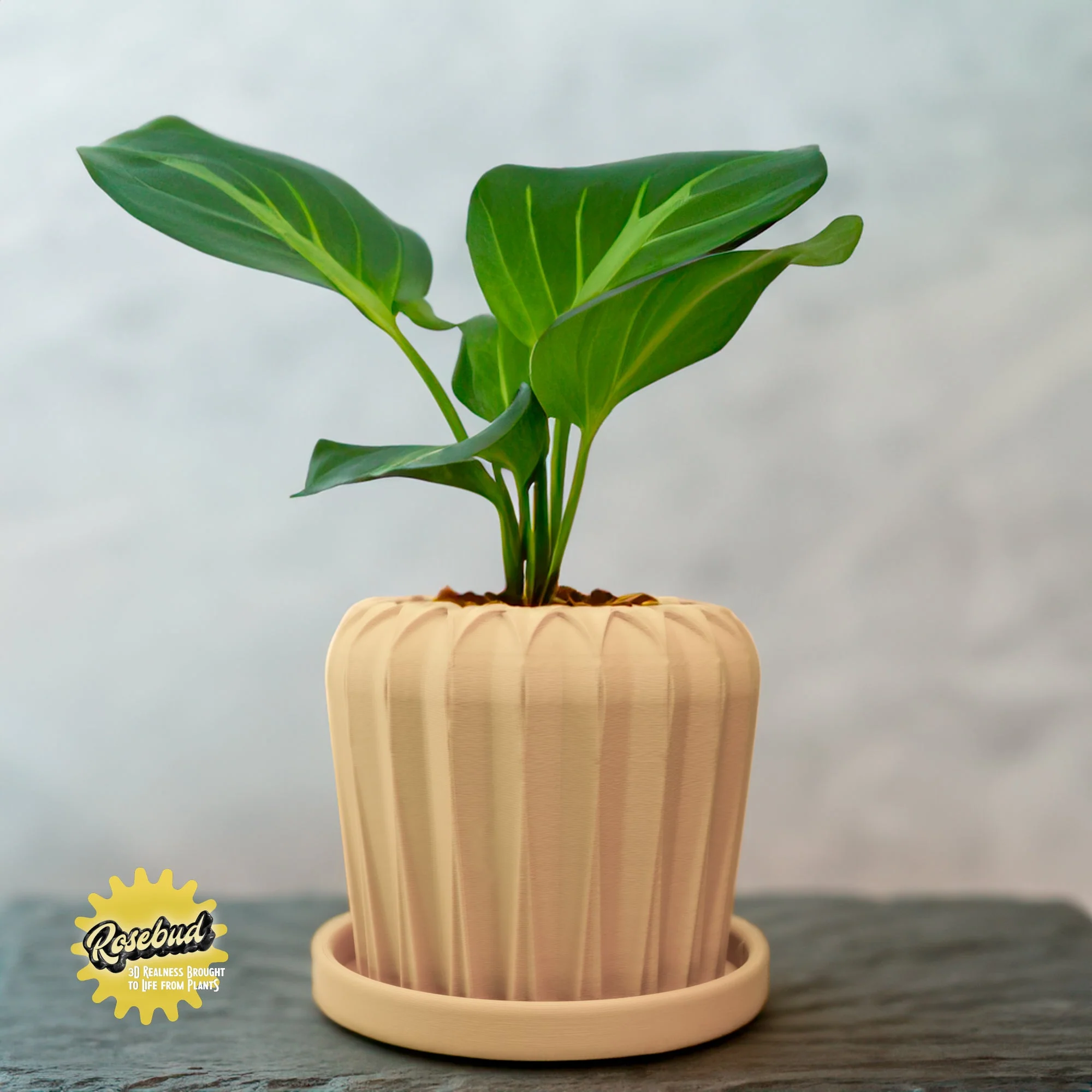 Lunar Bloom Plant Pot - Image 8