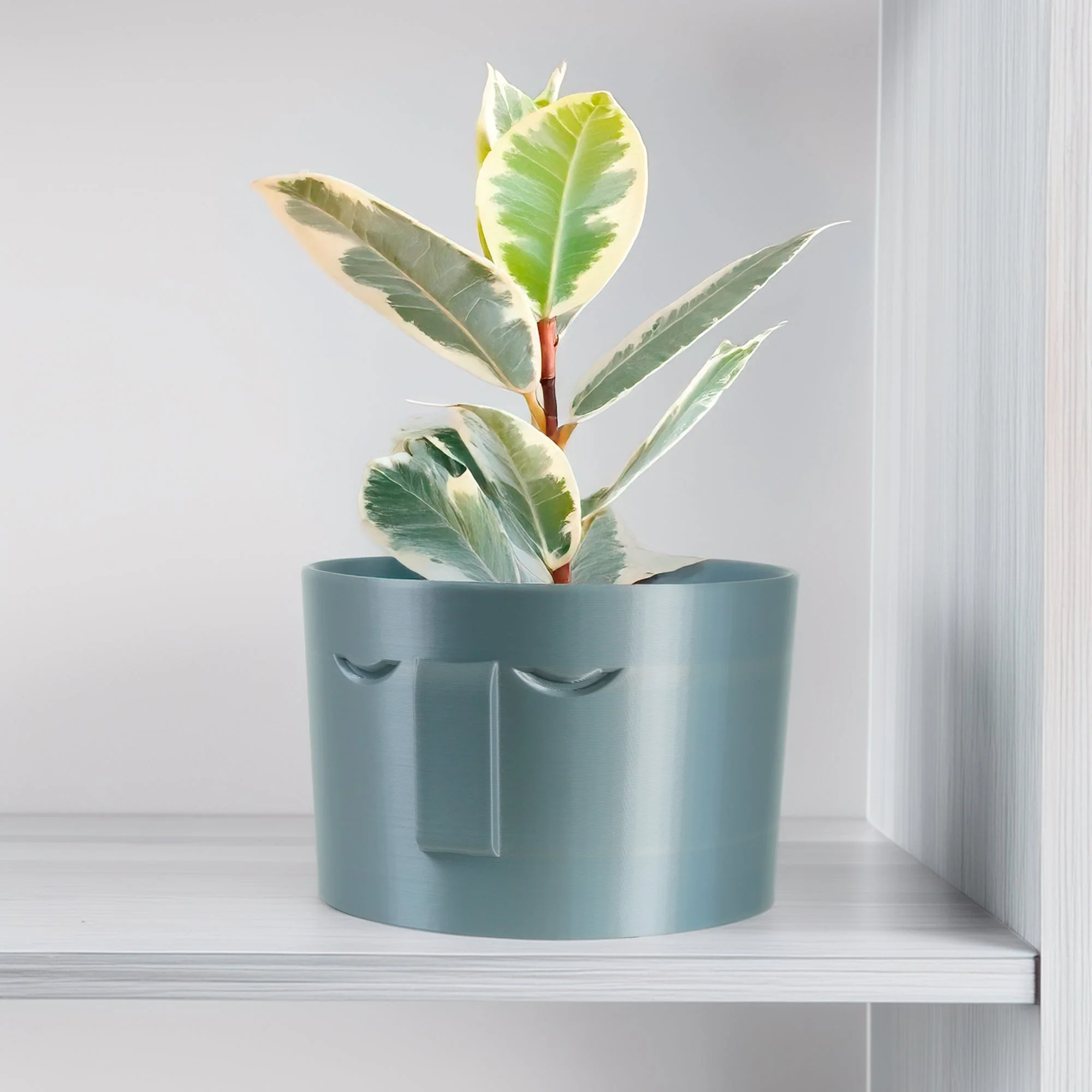 Minimal Face Planter, Small Medium Large, With Drip Tray and Great Drainage - Image 5