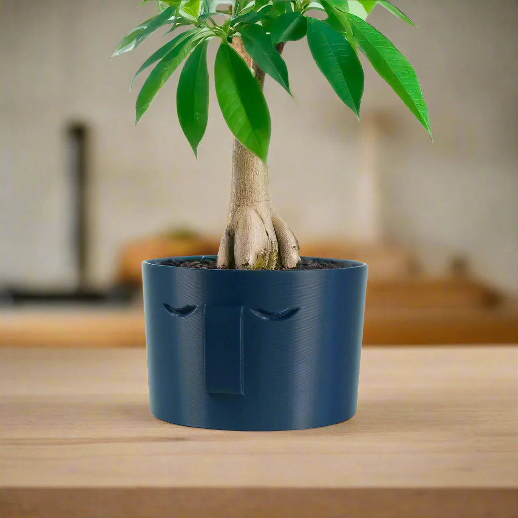 Minimal Face Planter, Small Medium Large, With Drip Tray and Great Drainage - Image 6