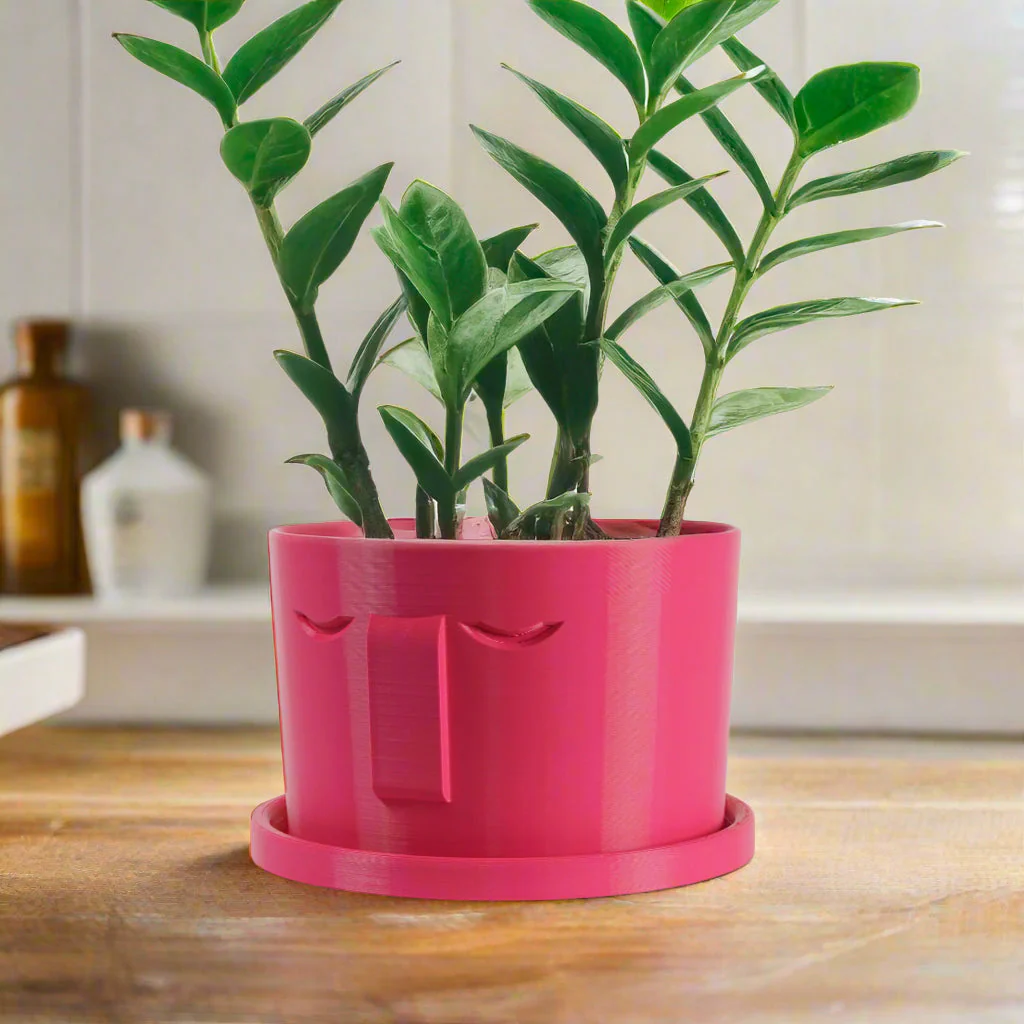 Minimal Face Planter, Small Medium Large, With Drip Tray and Great Drainage - Image 7