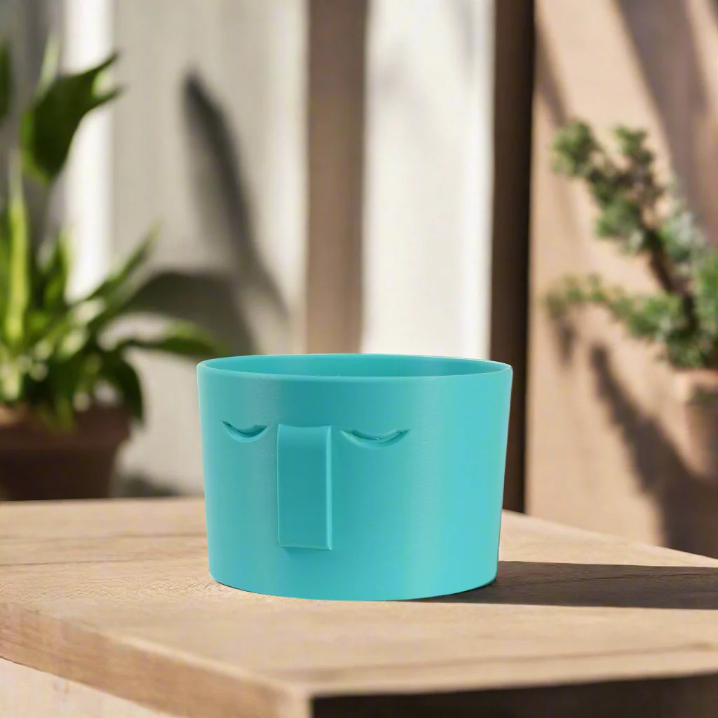 Minimal Face Planter, Small Medium Large, With Drip Tray and Great Drainage - Image 8
