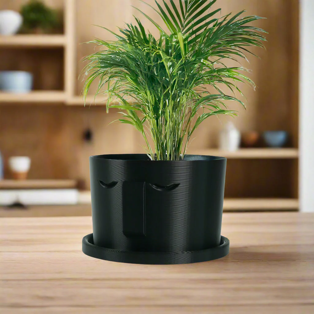 Minimal Face Planter, Small Medium Large, With Drip Tray and Great Drainage - Image 9
