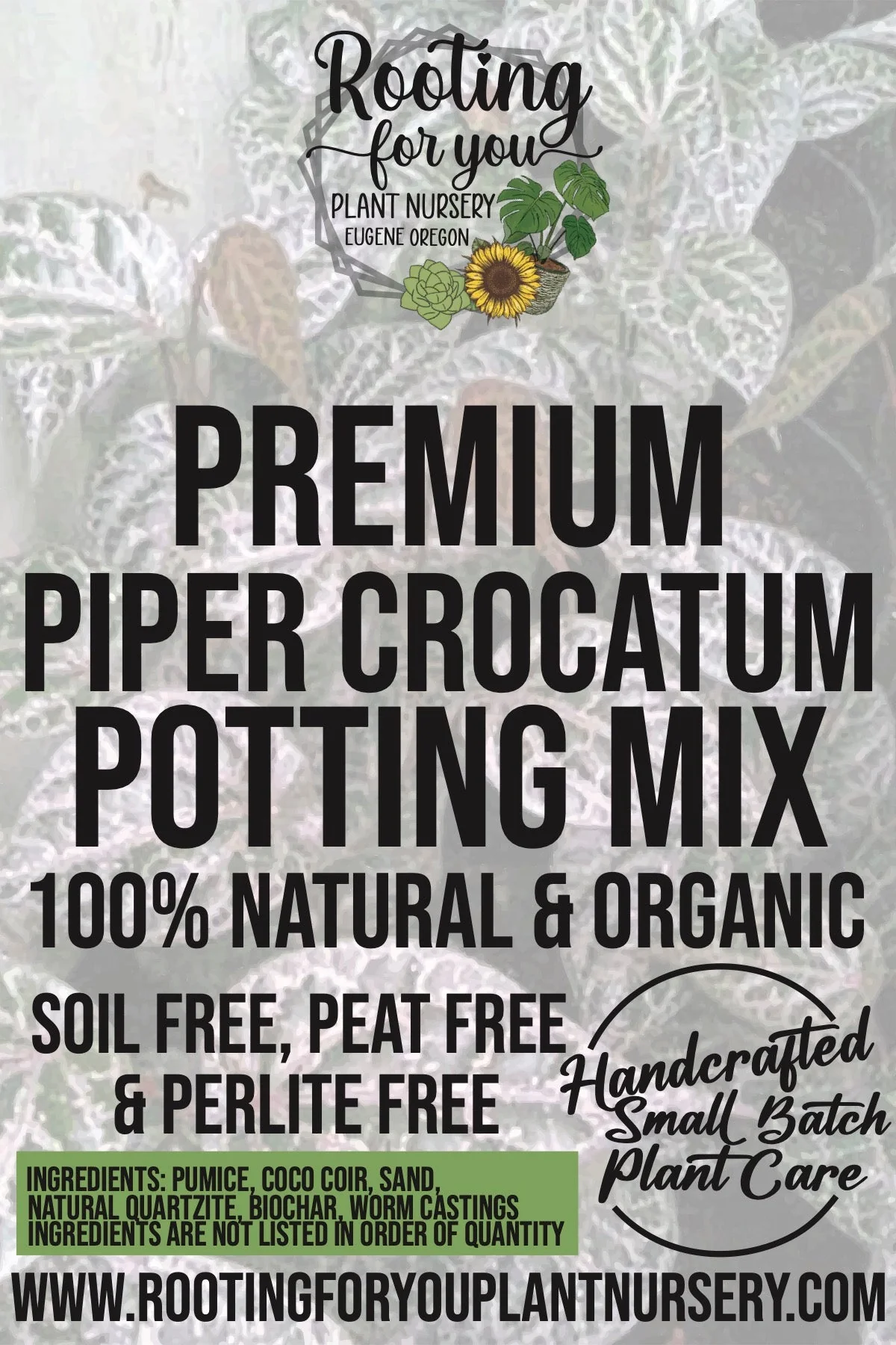 Piper Crocatum Premium Potting Mix - Image 2