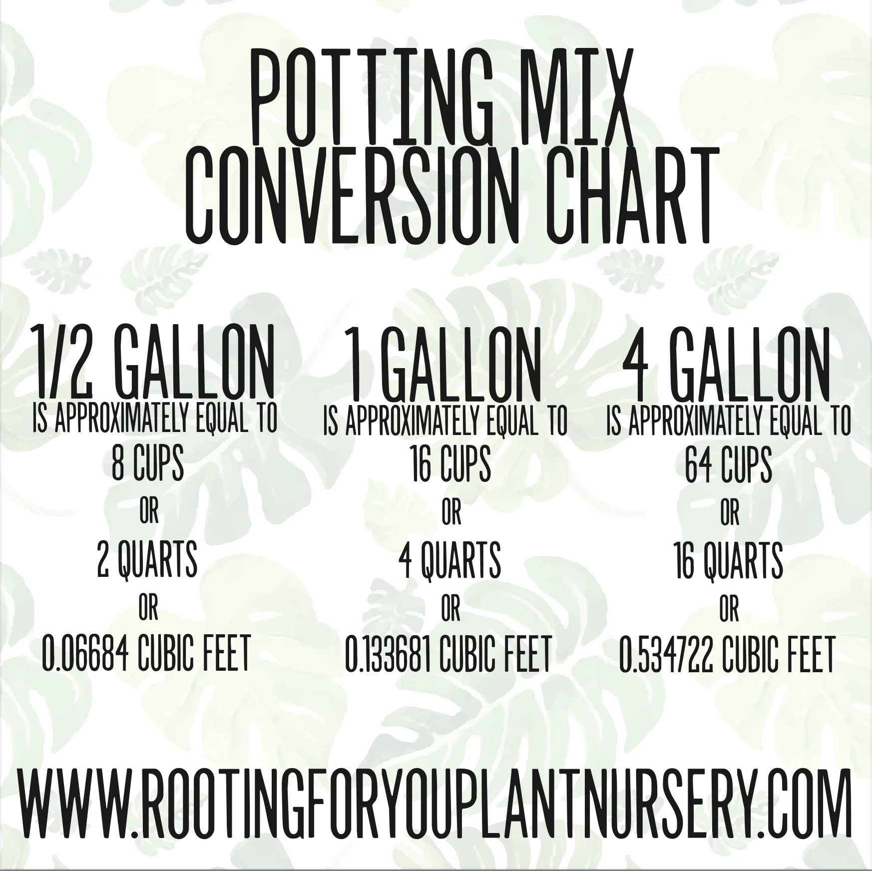 Piper Crocatum Premium Potting Mix - Image 4