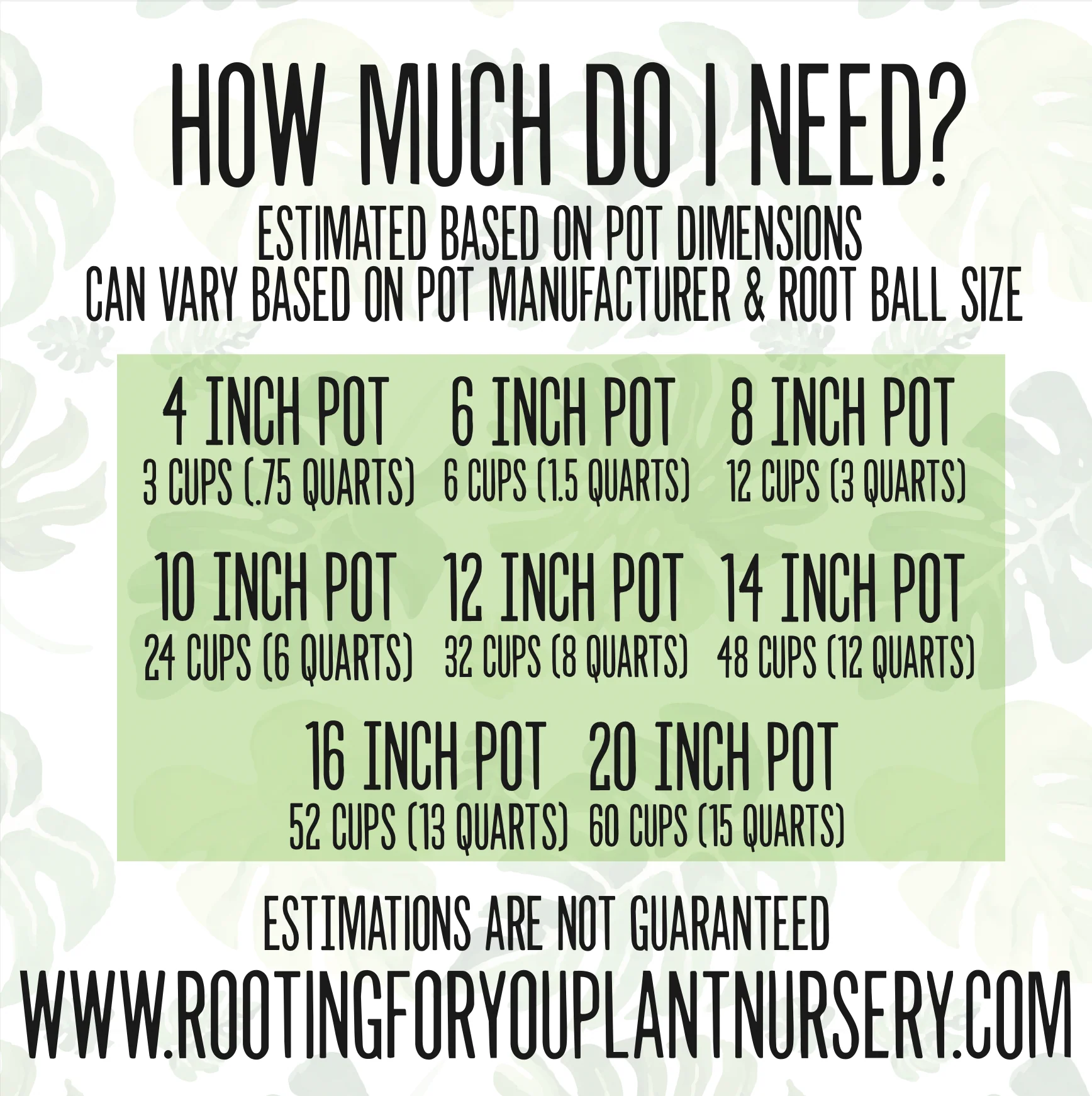Piper Crocatum Premium Potting Mix - Image 6