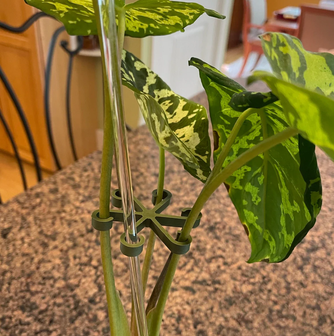 Plant Stem Supports - Image 8