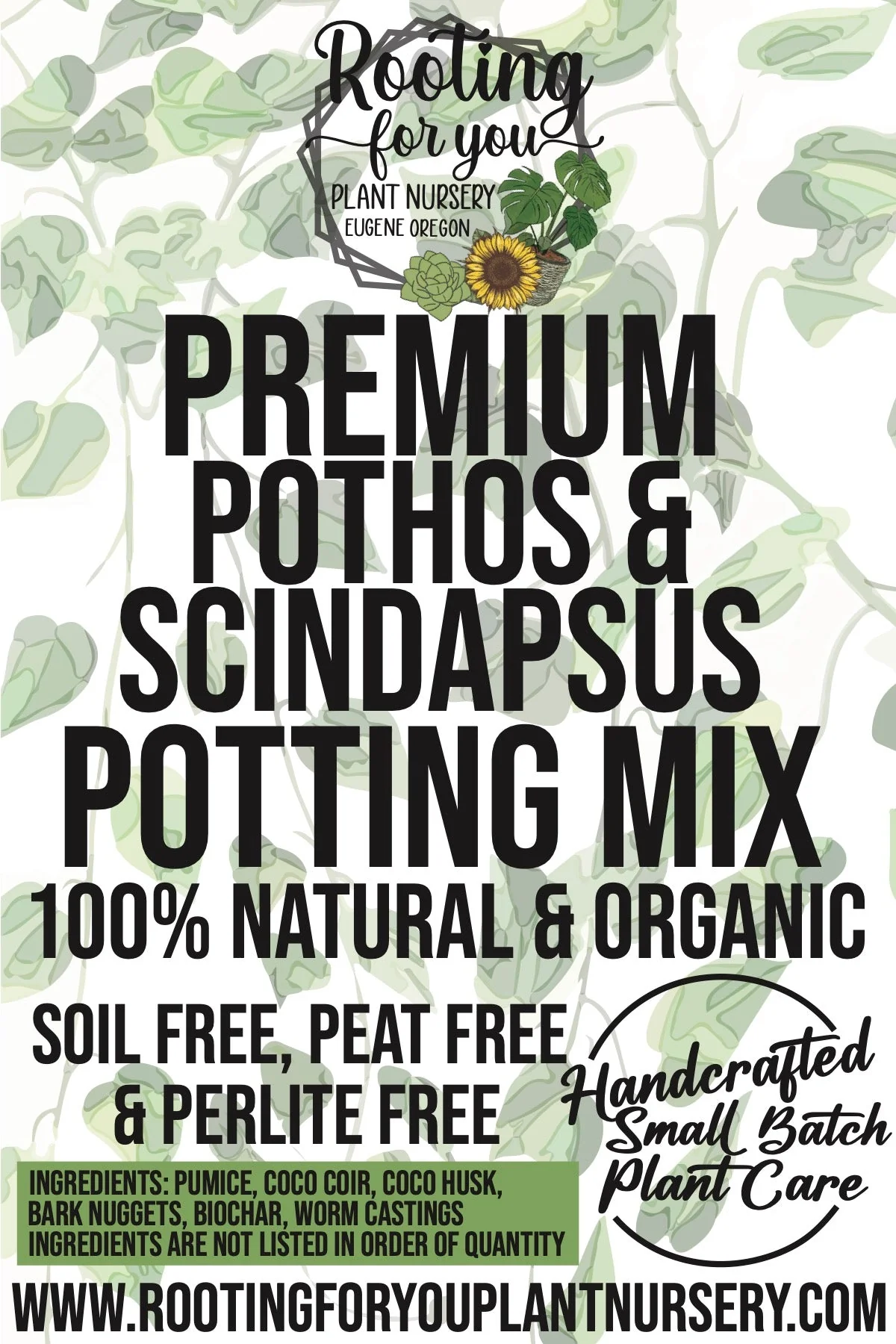Pothos & Scindapsus Premium Potting Mix - Image 2