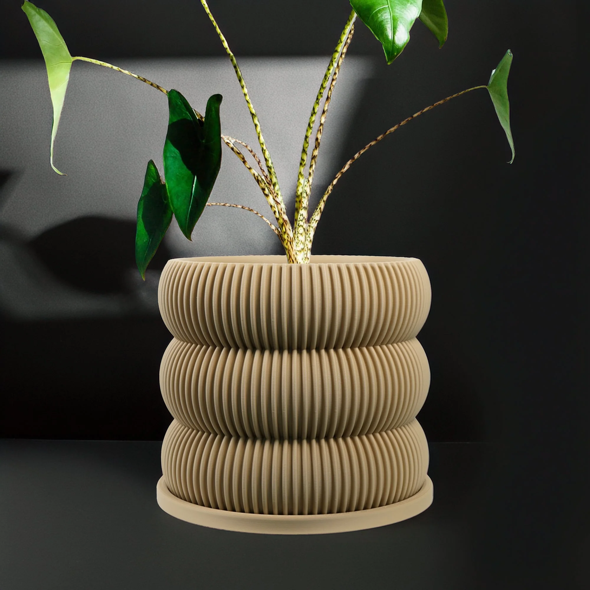 Ribbed Bubble Plant Pot With Drainage and Saucer - Image 2