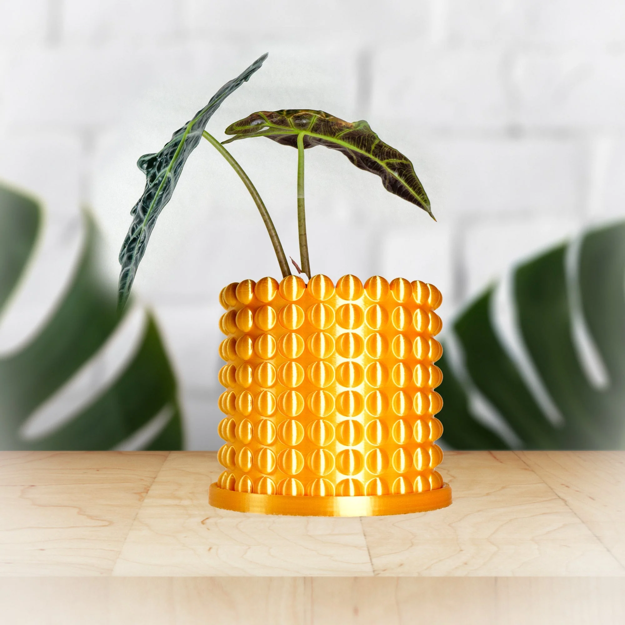 Ring of Pearls Planter Pot - Image 2