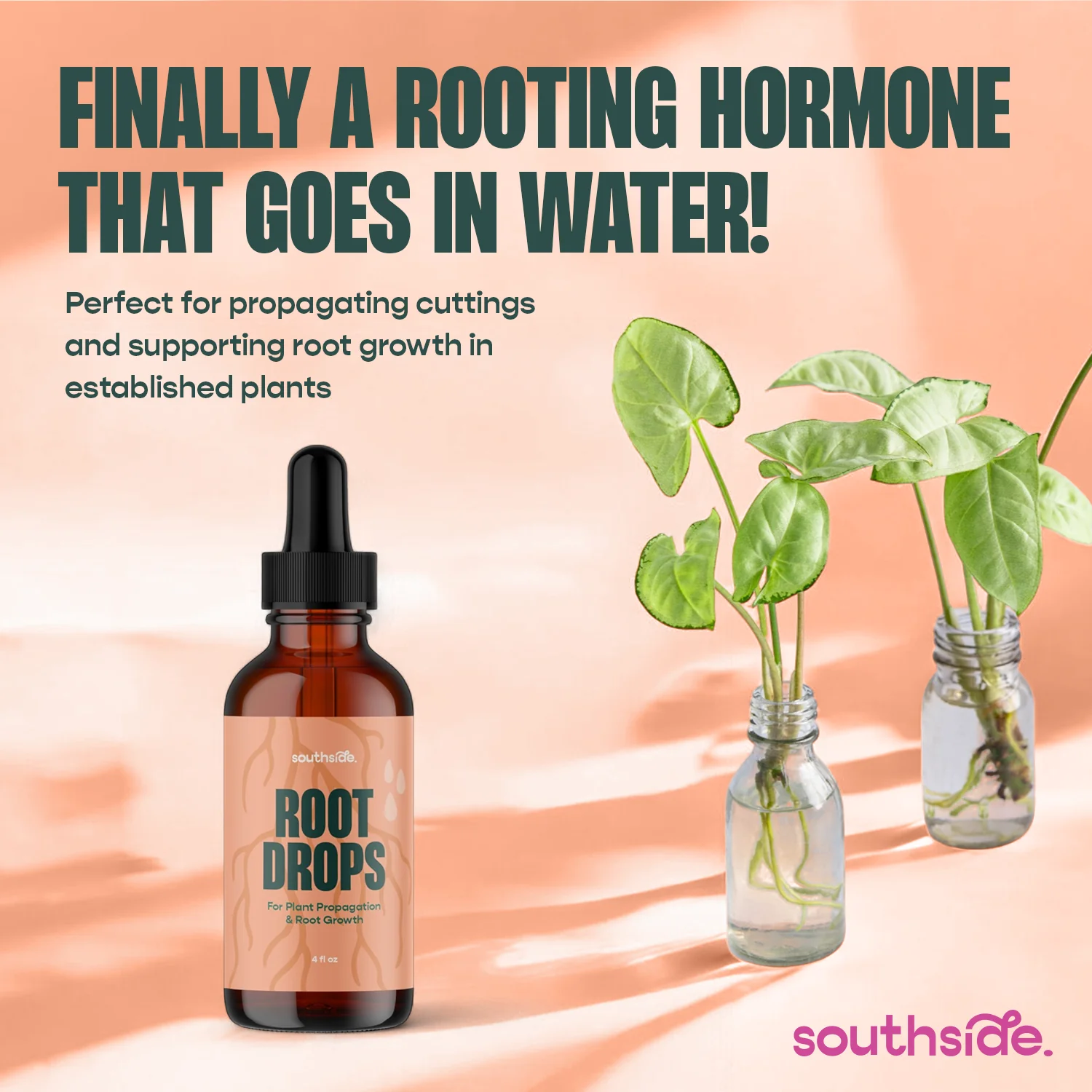 Root Drops - For Propagations & Repotting - Image 2